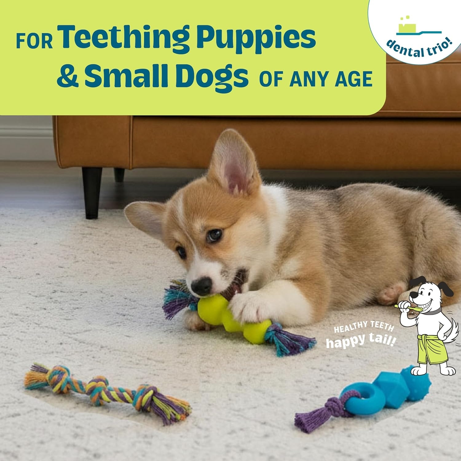image:imageDental Chew Wheel Dog Toy Ring amp Rope Tug MultiTextured Soft on Teeth Moderate Chewers Mint Scented 9Dentachew 3 Pk