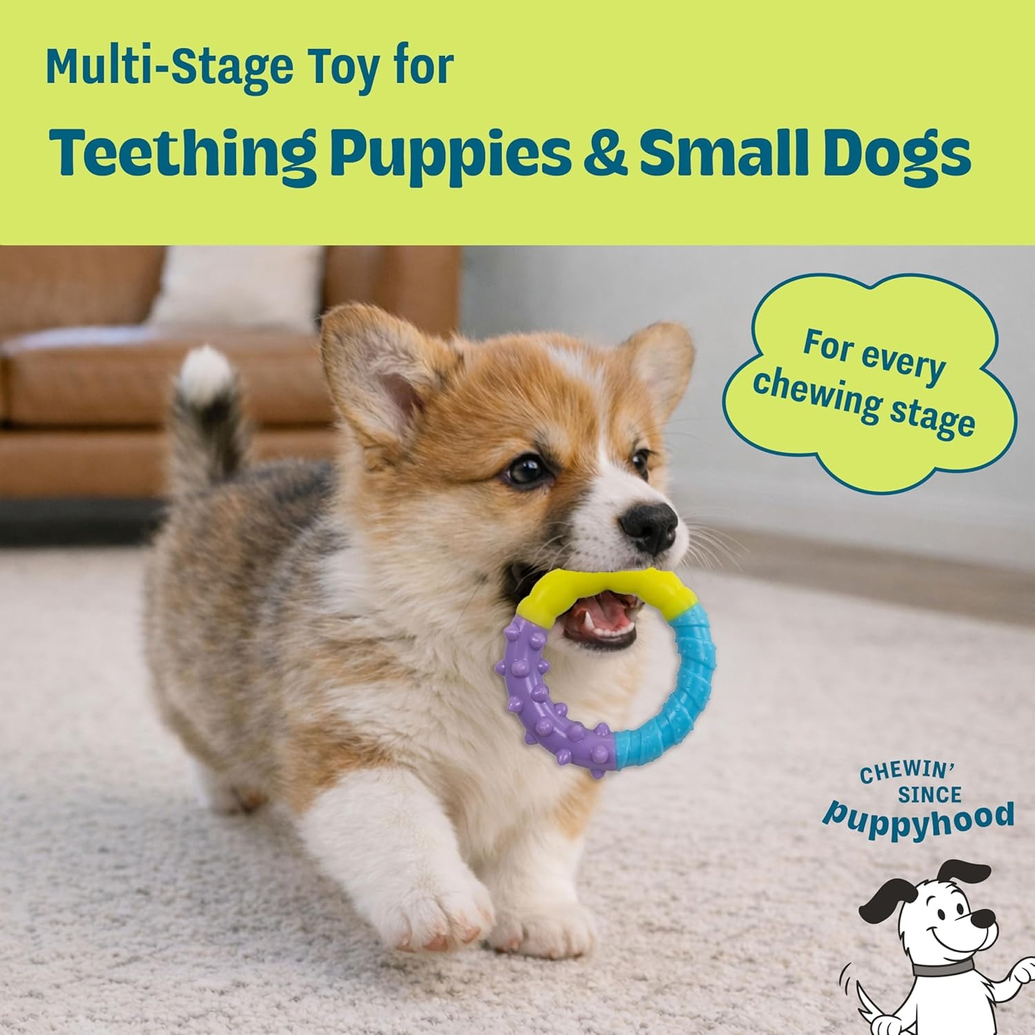 image:imageDental Chew Wheel Dog Toy Ring amp Rope Tug MultiTextured Soft on Teeth Moderate Chewers Mint Scented 9Ring