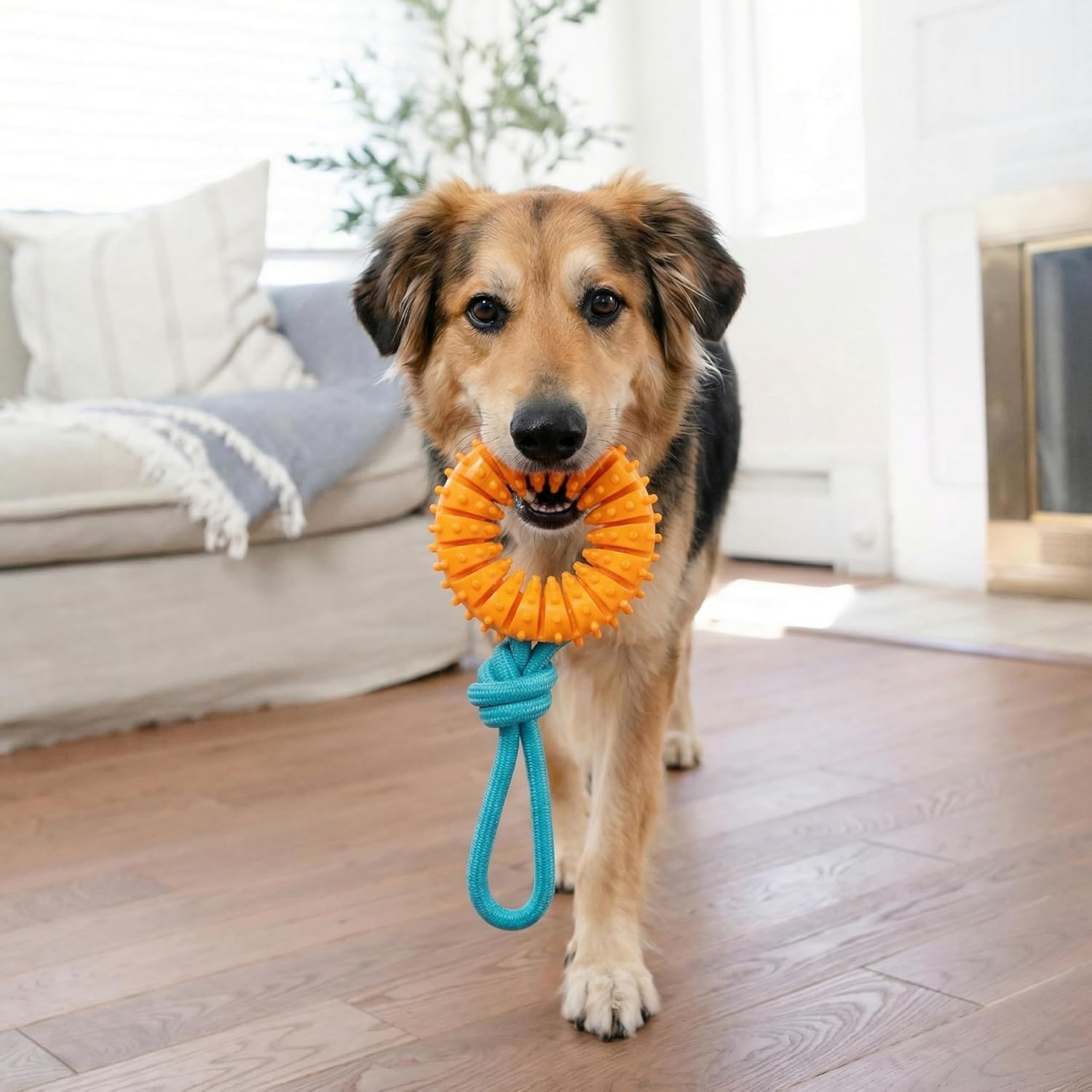 image:imageOrka Puppy 3 Pack Dental Chew Toys MultiTextured Tug Rope amp Fetch Teething Puppies amp Small Dogs 105Chew Wheel