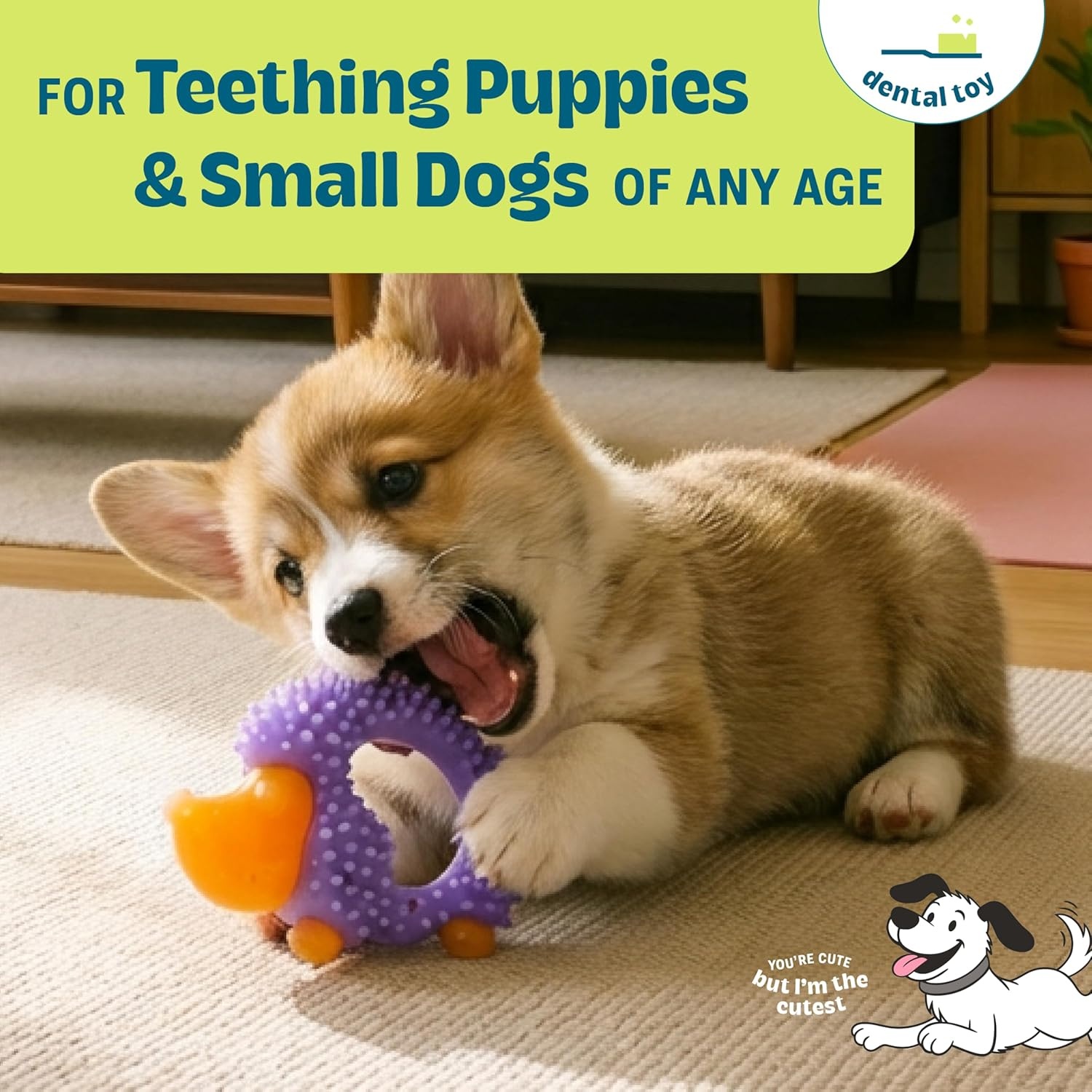 image:imageOrka Puppy 3 Pack Dental Chew Toys MultiTextured Tug Rope amp Fetch Teething Puppies amp Small Dogs 105Hedgehog