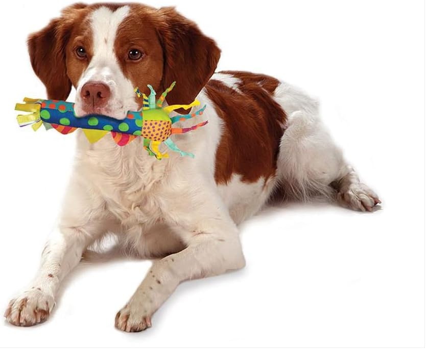 image:imageOrka Puppy 3 Pack Dental Chew Toys MultiTextured Tug Rope amp Fetch Teething Puppies amp Small Dogs 105Teething Stick