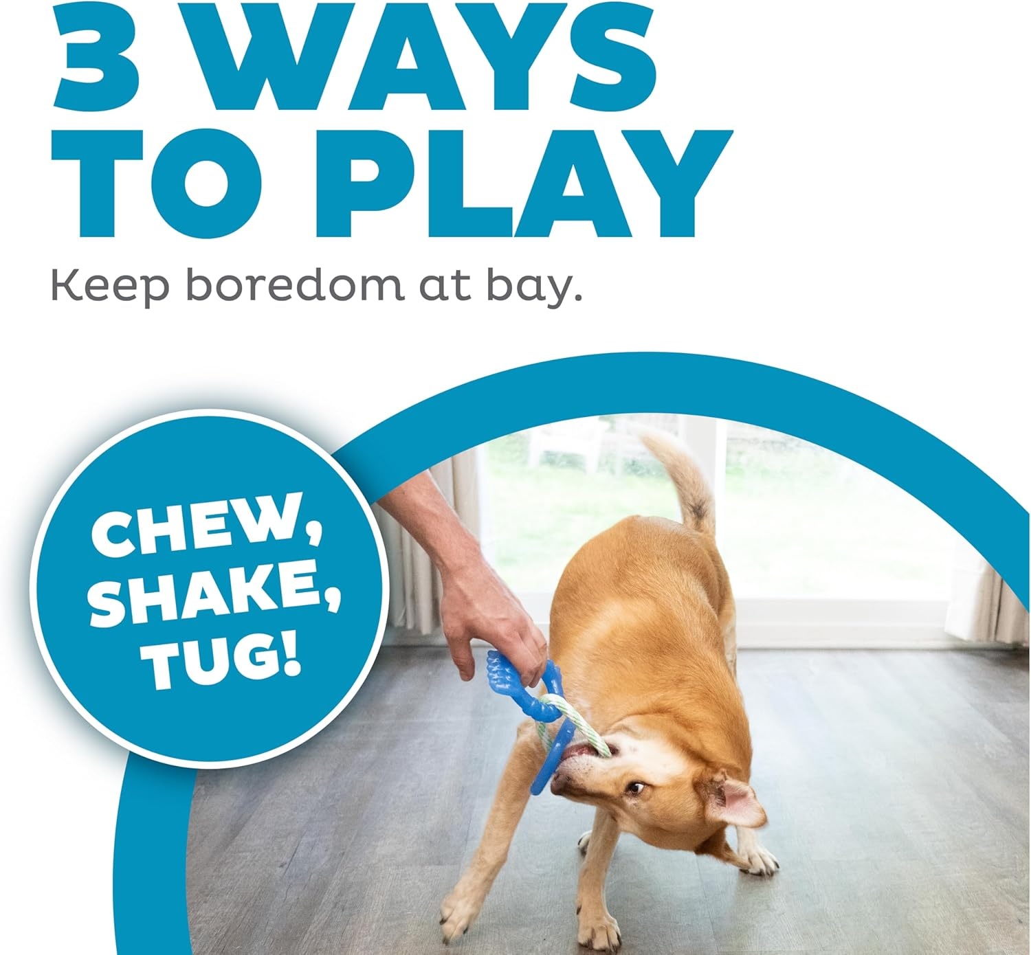 image:imageOutward Hound Dentalinks Dog Chew Toy Rings for Small Dogs and Puppies Mlt BlueDentalinks