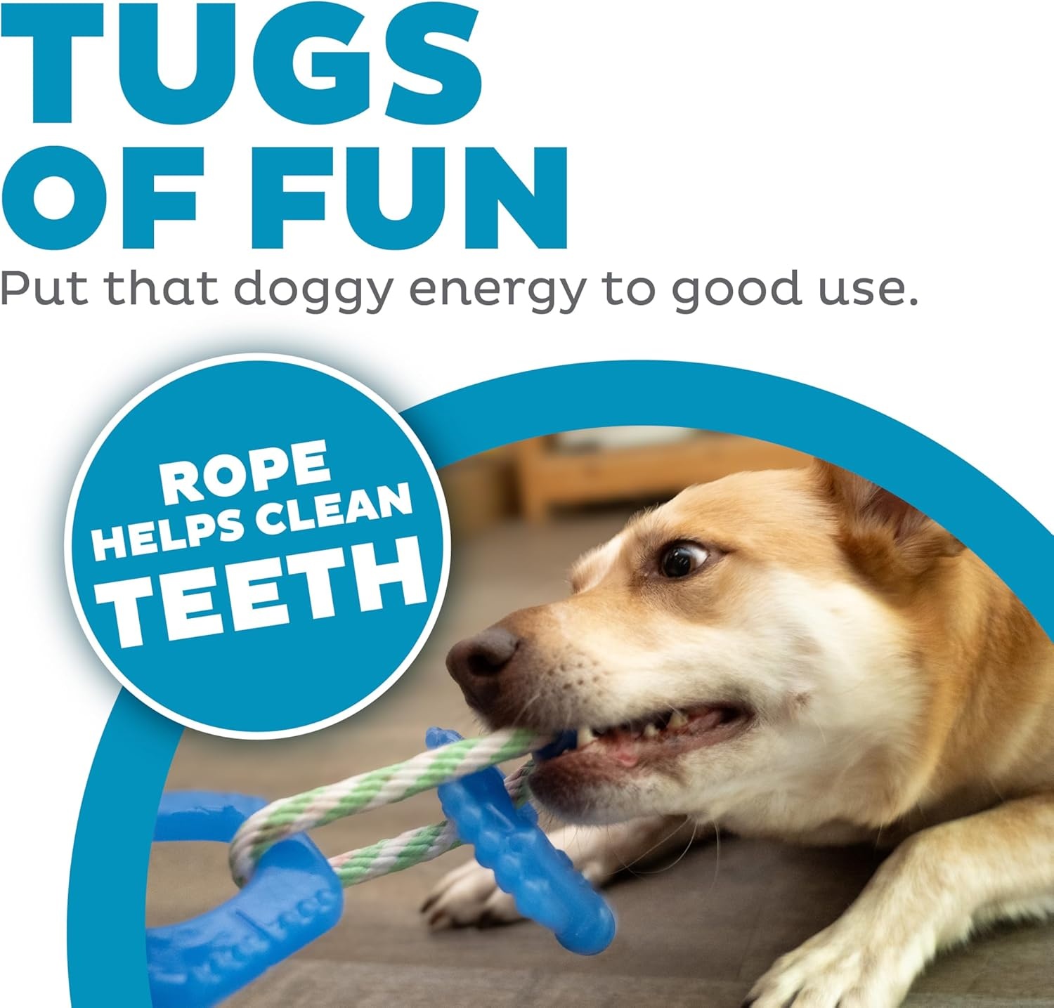 image:imageOutward Hound Dentalinks Dog Chew Toy Rings for Small Dogs and Puppies Mlt BlueDentalinks