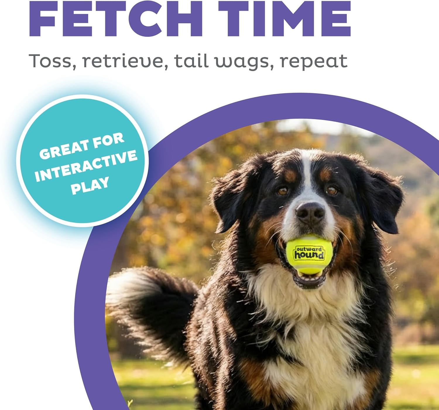 image:imageOutward Hound FlyFetch LaunchABall Dog Toy Launches Up to 3X Farther Works with FlyFetch Squeaker Ballz amp Rubber Balls 155 Medium