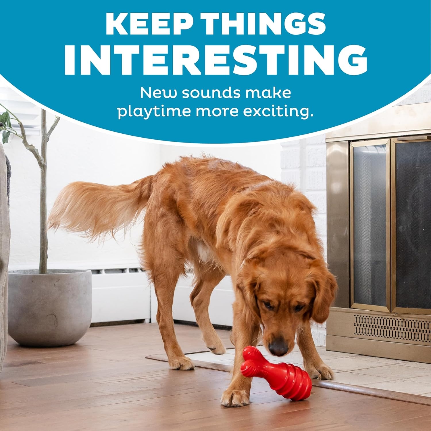 image:imageOutward Hound Grunt N Punt Football Dog Toy Throwing Fetching FunBunny Red