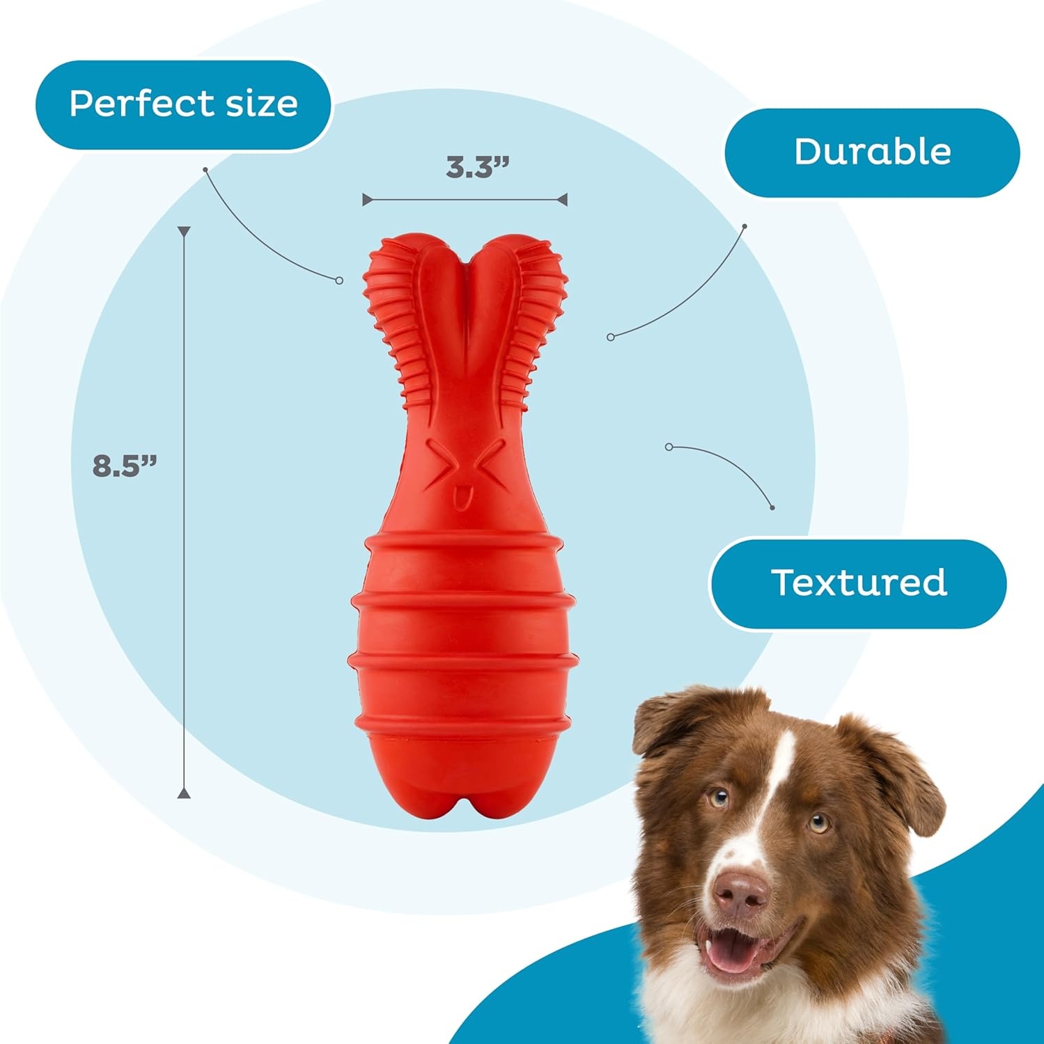 image:imageOutward Hound Grunt N Punt Football Dog Toy Throwing Fetching FunBunny Red