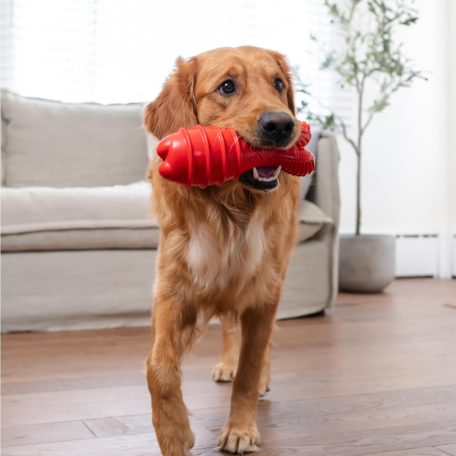 image:imageOutward Hound Grunt N Punt Football Dog Toy Throwing Fetching FunBunny Red