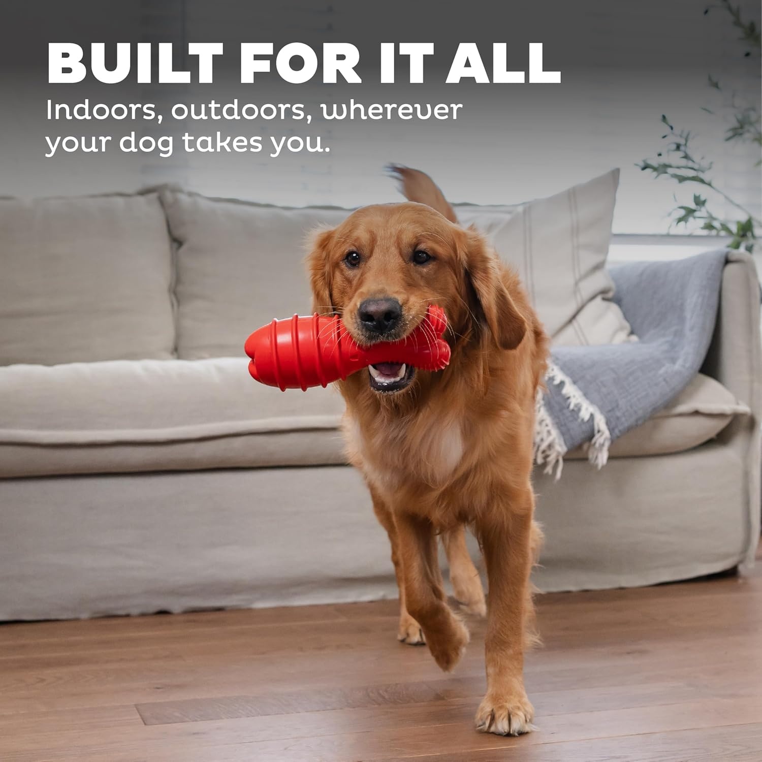 image:imageOutward Hound Grunt N Punt Football Dog Toy Throwing Fetching FunBunny Red