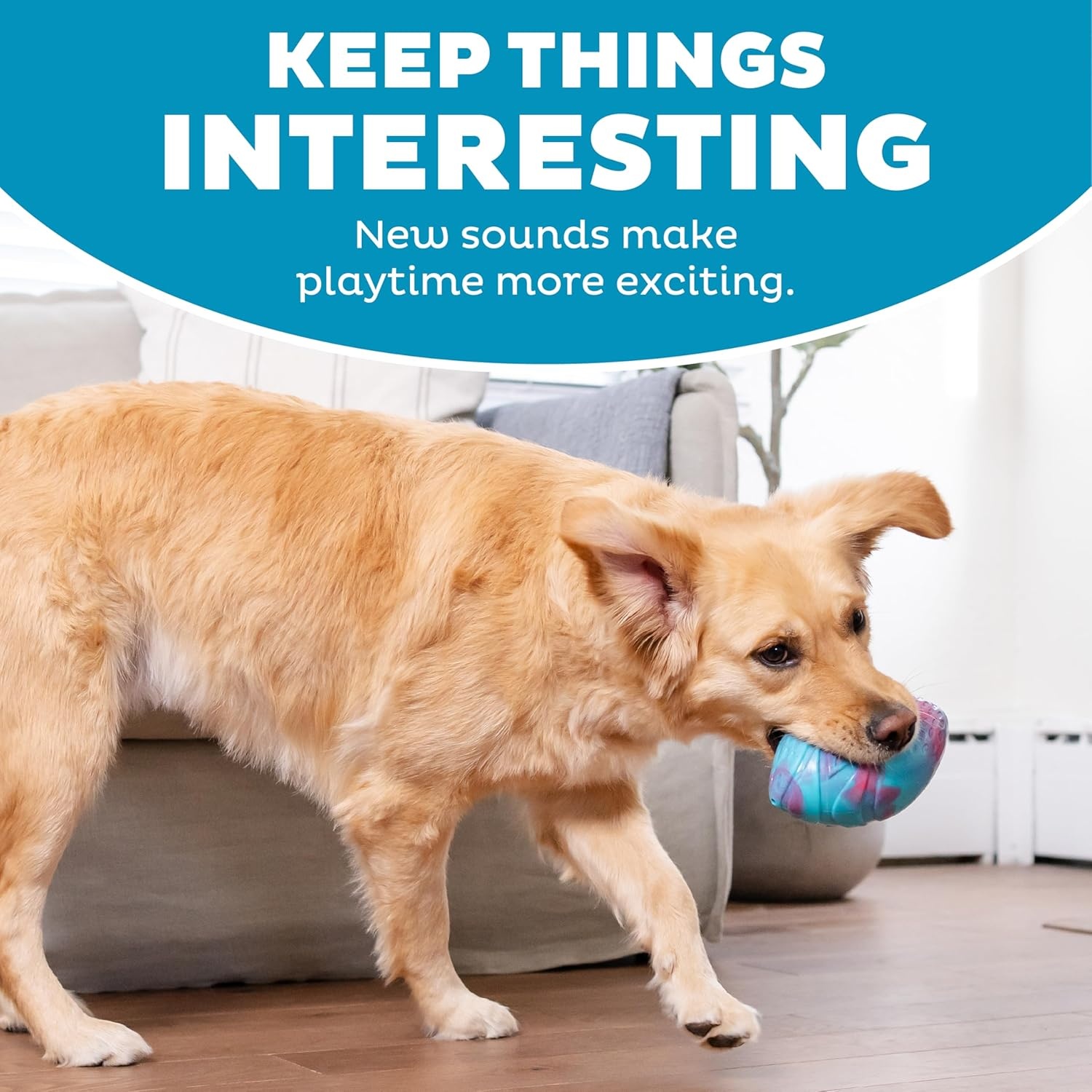 image:imageOutward Hound Grunt N Punt Football Dog Toy Throwing Fetching FunFootball