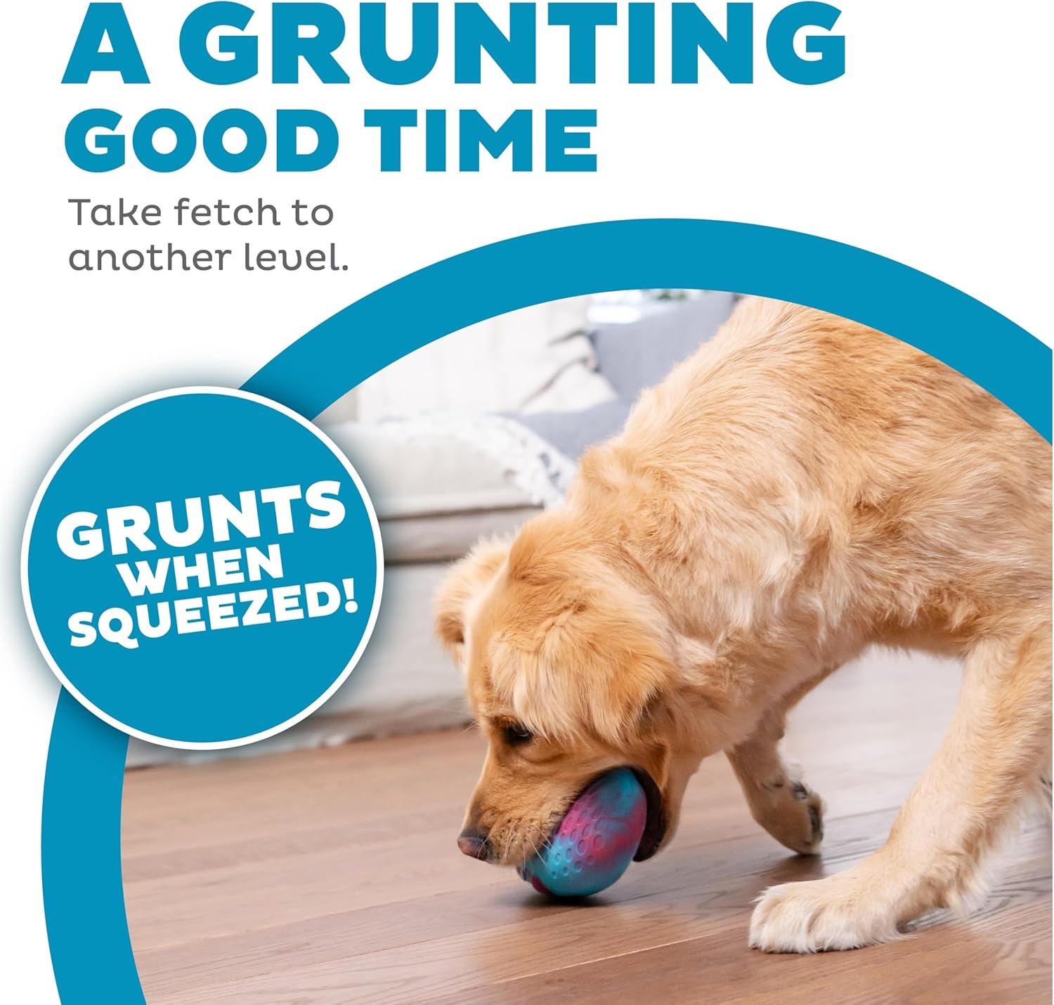 image:imageOutward Hound Grunt N Punt Football Dog Toy Throwing Fetching FunFootball