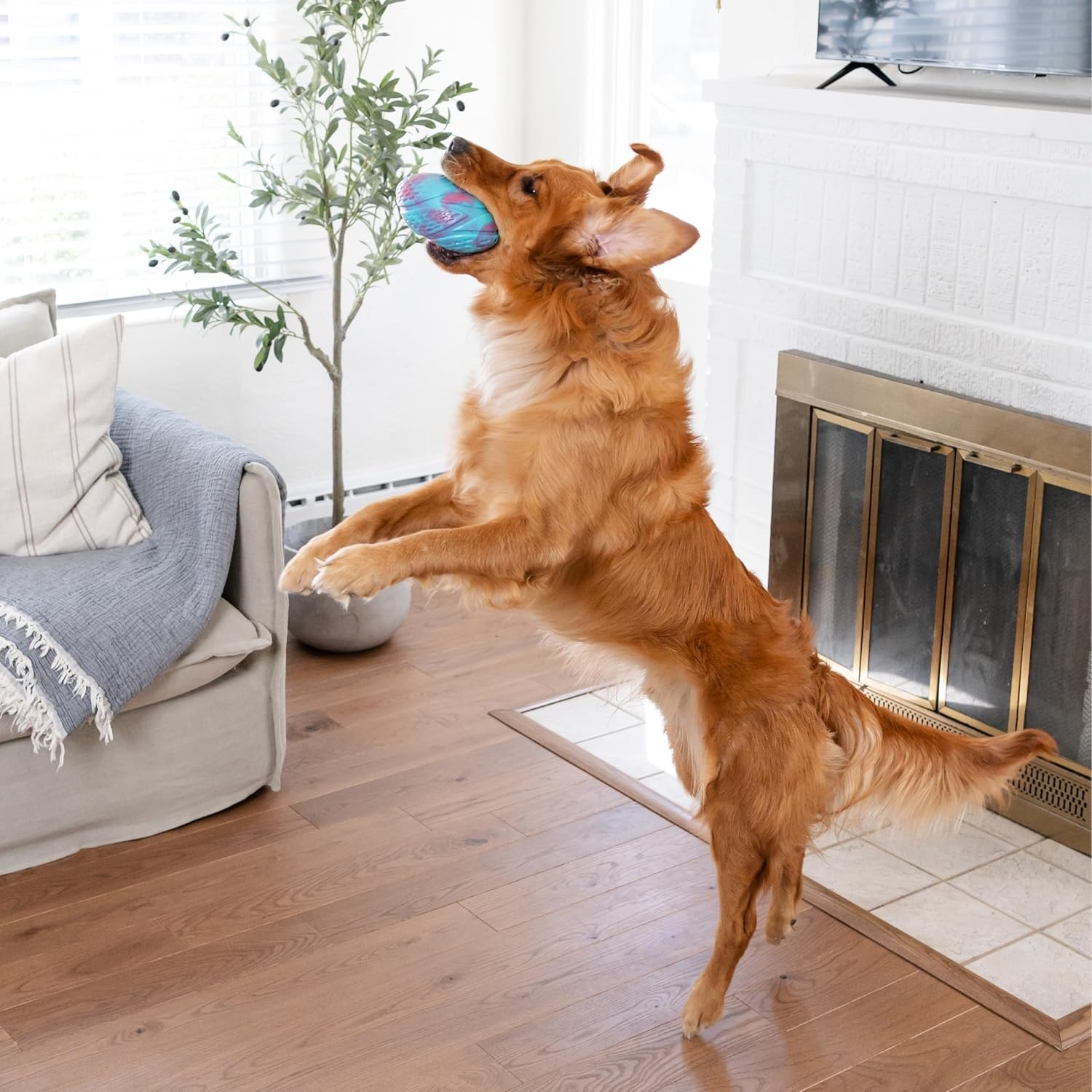 image:imageOutward Hound Grunt N Punt Football Dog Toy Throwing Fetching FunFootball