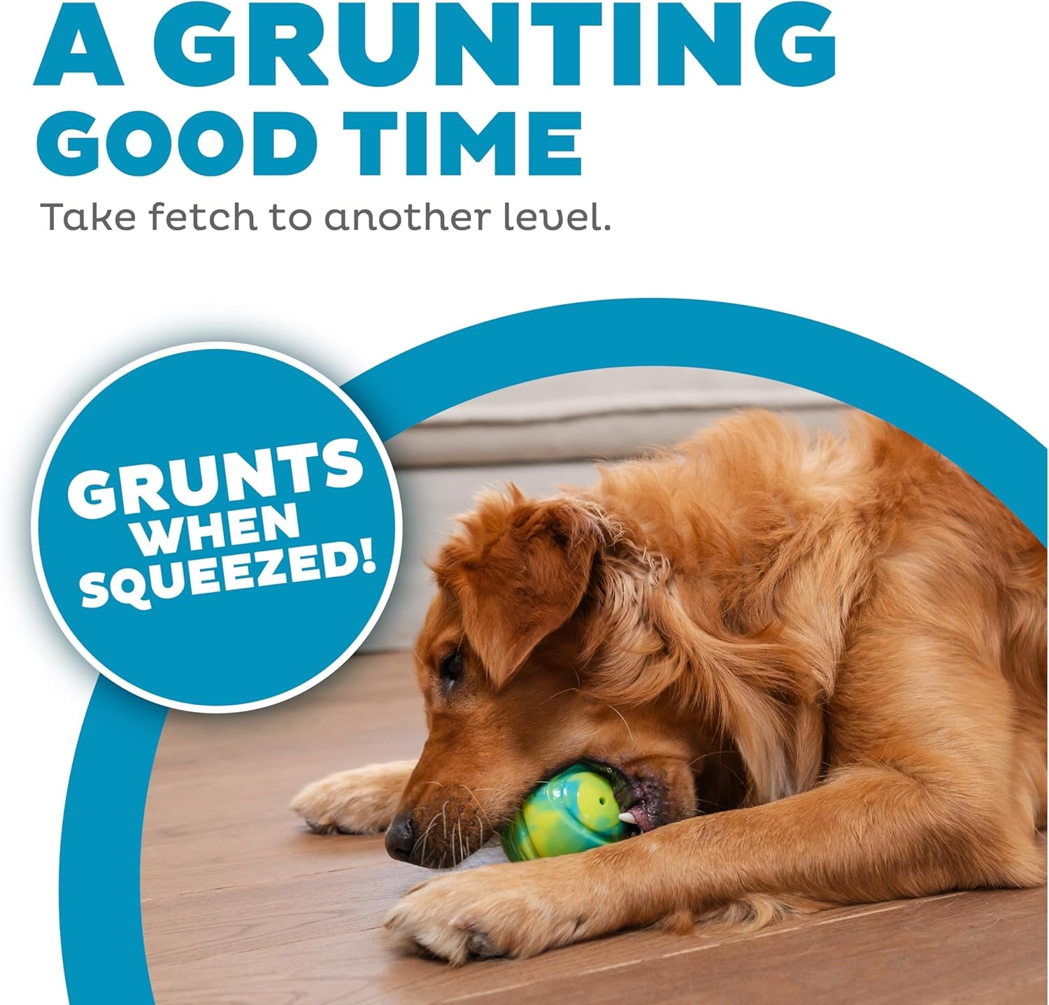 image:imageOutward Hound Grunt N Punt Football Dog Toy Throwing Fetching FunTennis Ball Green