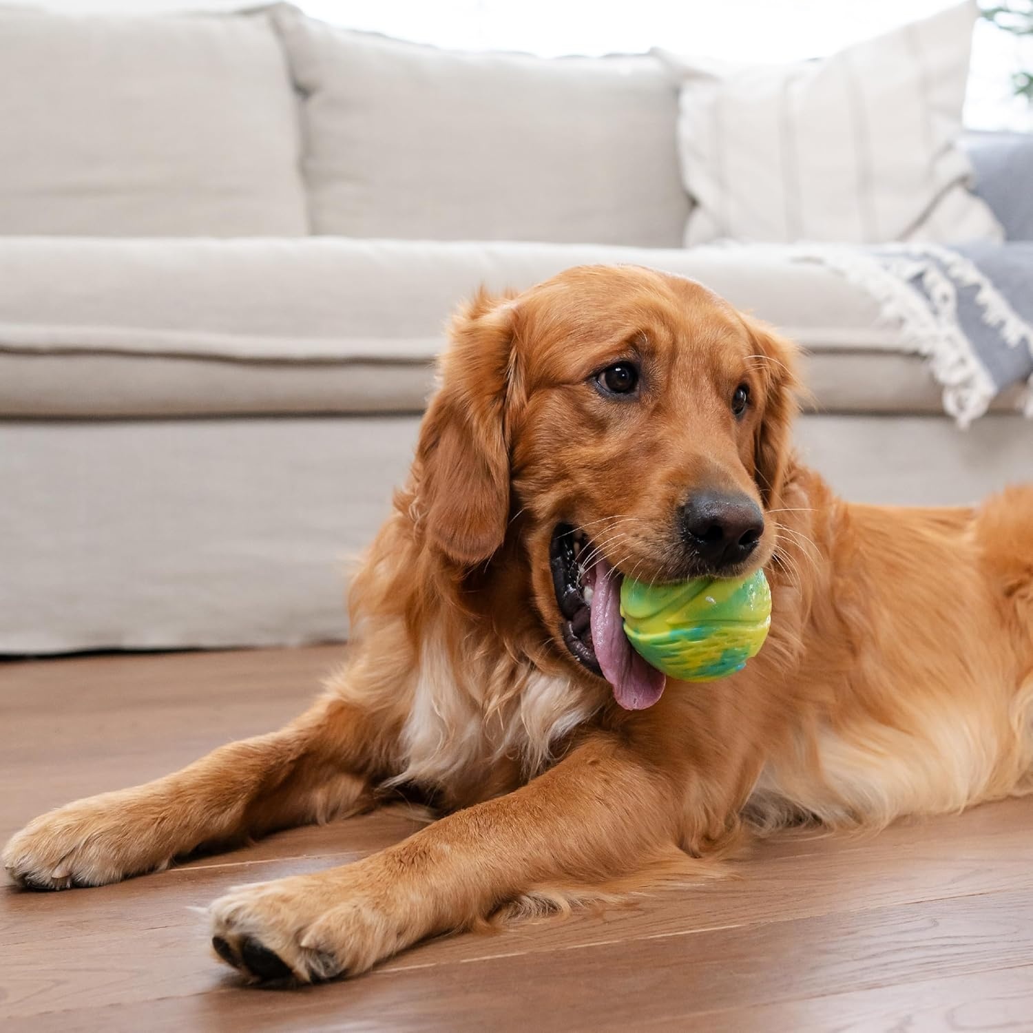 image:imageOutward Hound Grunt N Punt Football Dog Toy Throwing Fetching FunTennis Ball Green
