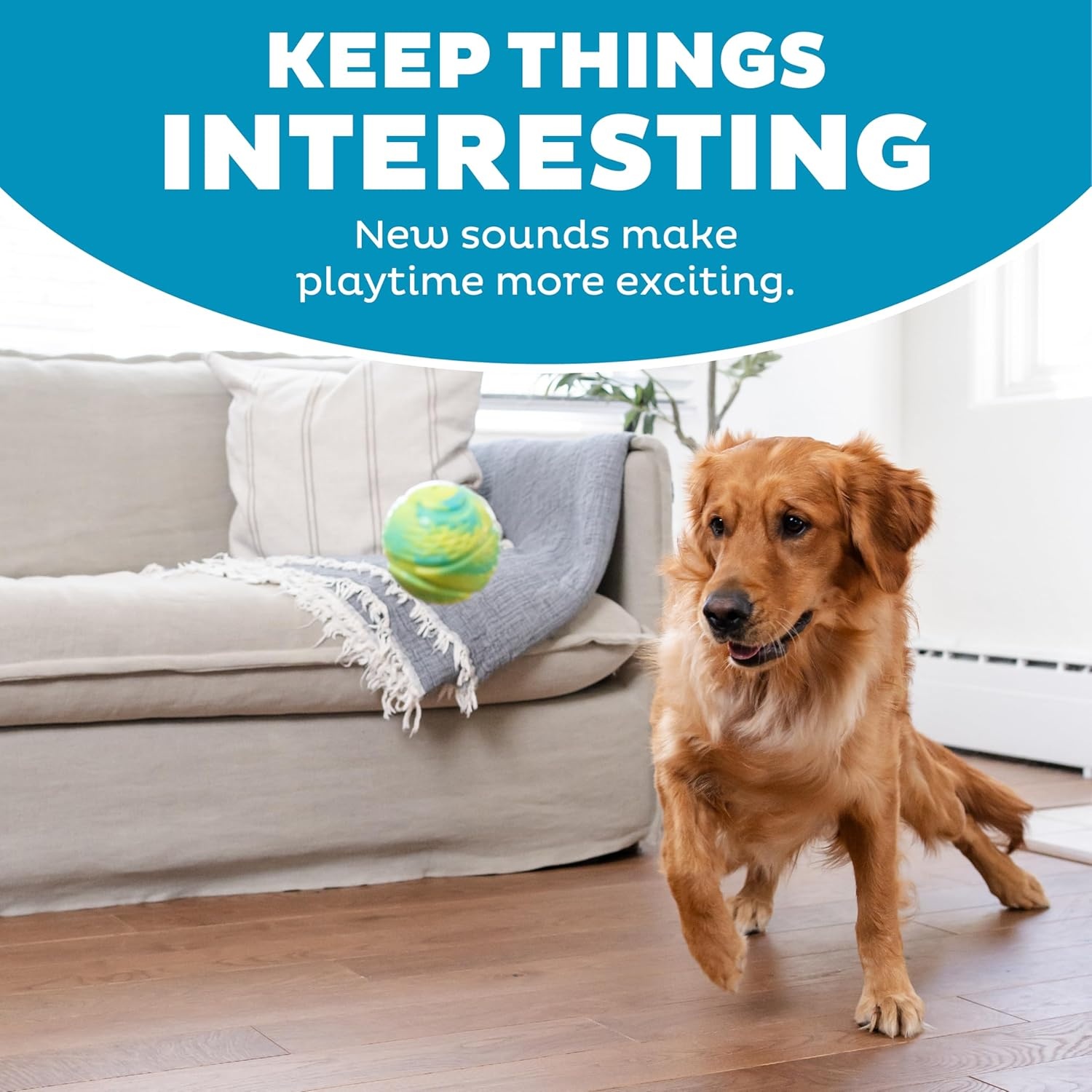image:imageOutward Hound Grunt N Punt Football Dog Toy Throwing Fetching FunTennis Ball Green
