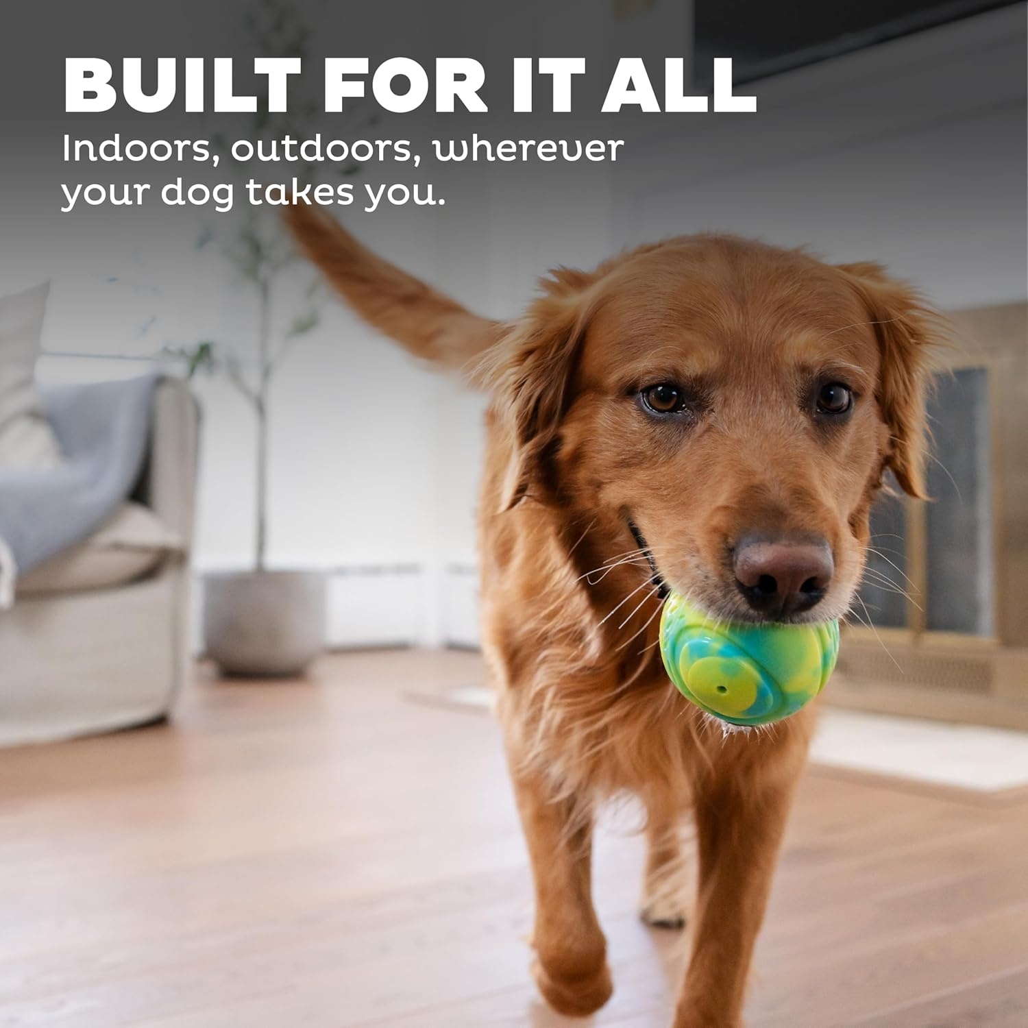 image:imageOutward Hound Grunt N Punt Football Dog Toy Throwing Fetching FunTennis Ball Green