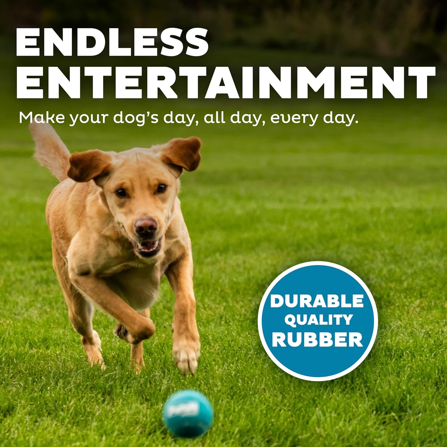 image:imageOutward Hound Squeaker Ballz Squeaky Tiny Tennis Balls for Small Dogs Under 15 lbs Fetch amp Training XSmall 15 4PackMulti Squeaker Balls