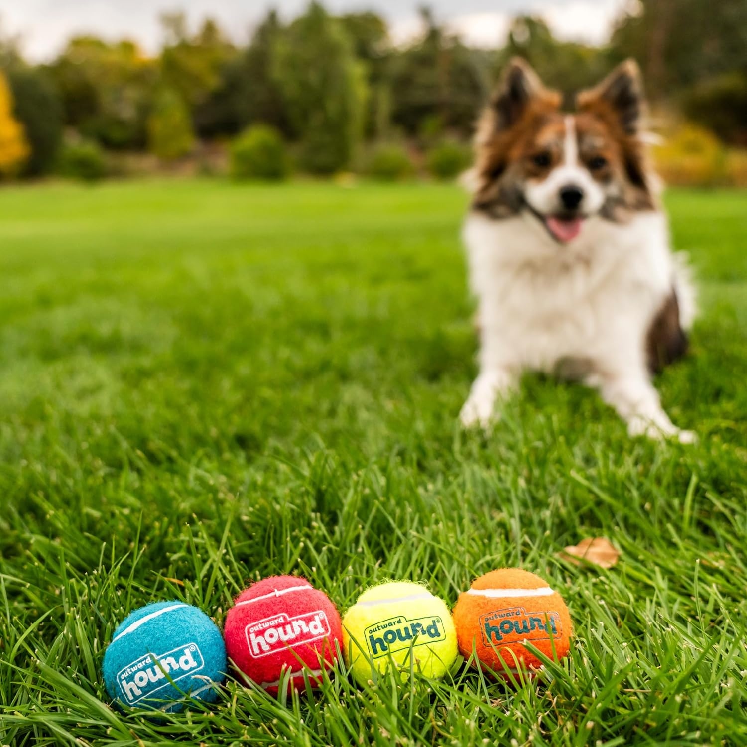 image:imageOutward Hound Squeaker Ballz Squeaky Tiny Tennis Balls for Small Dogs Under 15 lbs Fetch amp Training XSmall 15 4PackMulti Squeaker Balls