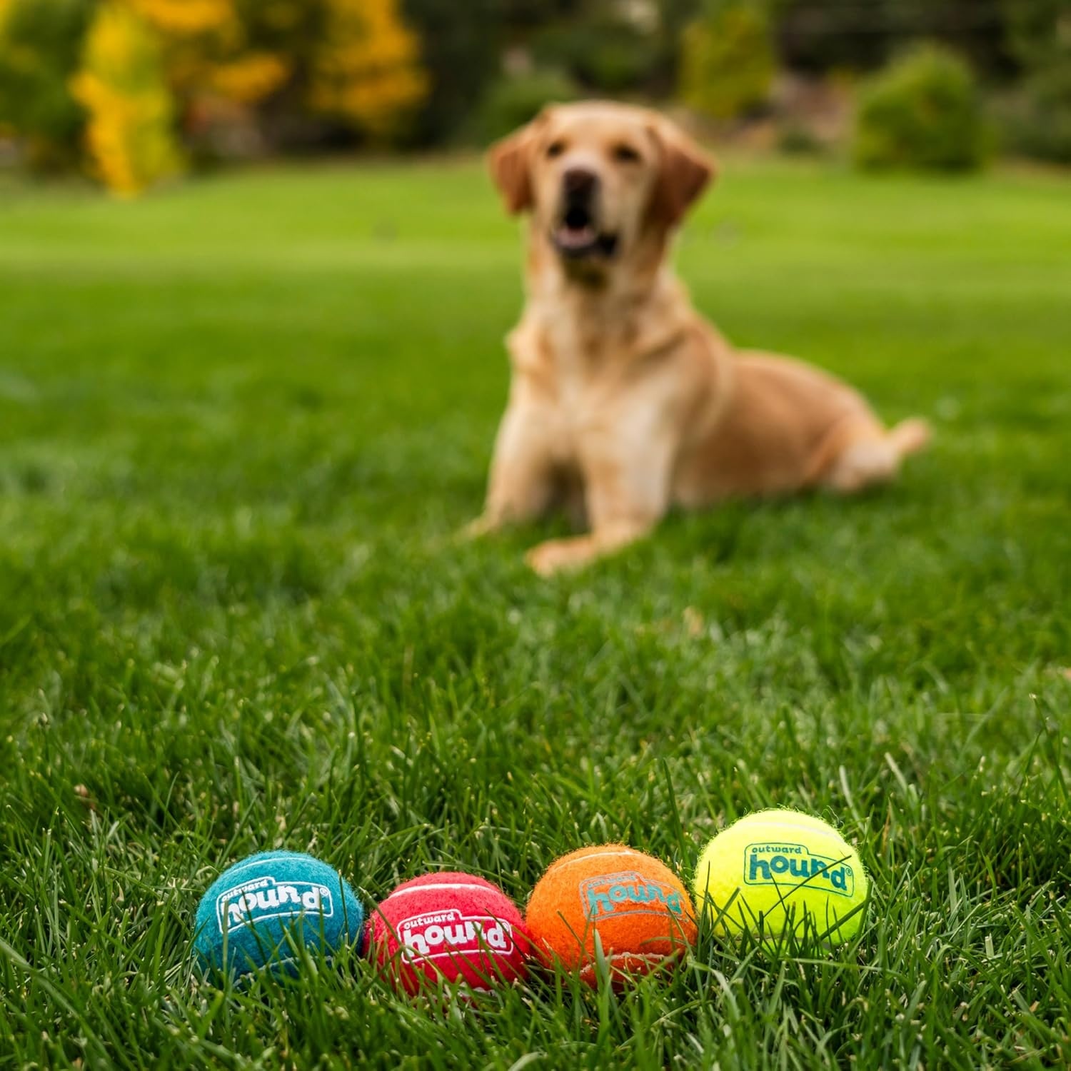 image:imageOutward Hound Squeaker Ballz Squeaky Tiny Tennis Balls for Small Dogs Under 15 lbs Fetch amp Training XSmall 15 4PackMulti Squeaker Balls