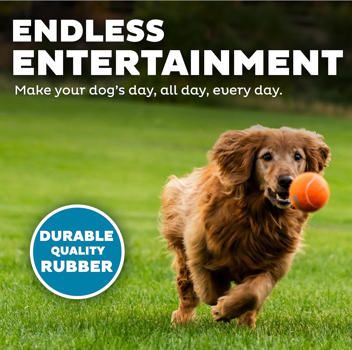 image:imageOutward Hound Squeaker Ballz Squeaky Tiny Tennis Balls for Small Dogs Under 15 lbs Fetch amp Training XSmall 15 4PackMulti Squeaker Balls