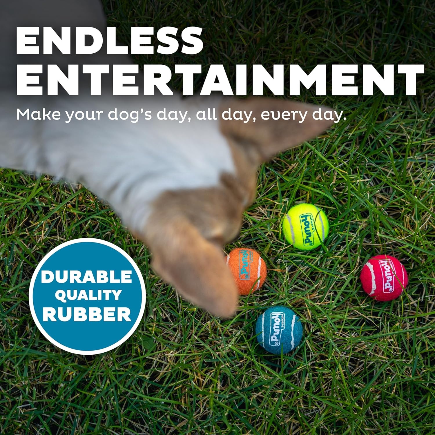 image:imageOutward Hound Squeaker Ballz Squeaky Tiny Tennis Balls for Small Dogs Under 15 lbs Fetch amp Training XSmall 15 4PackMulti Squeaker Balls