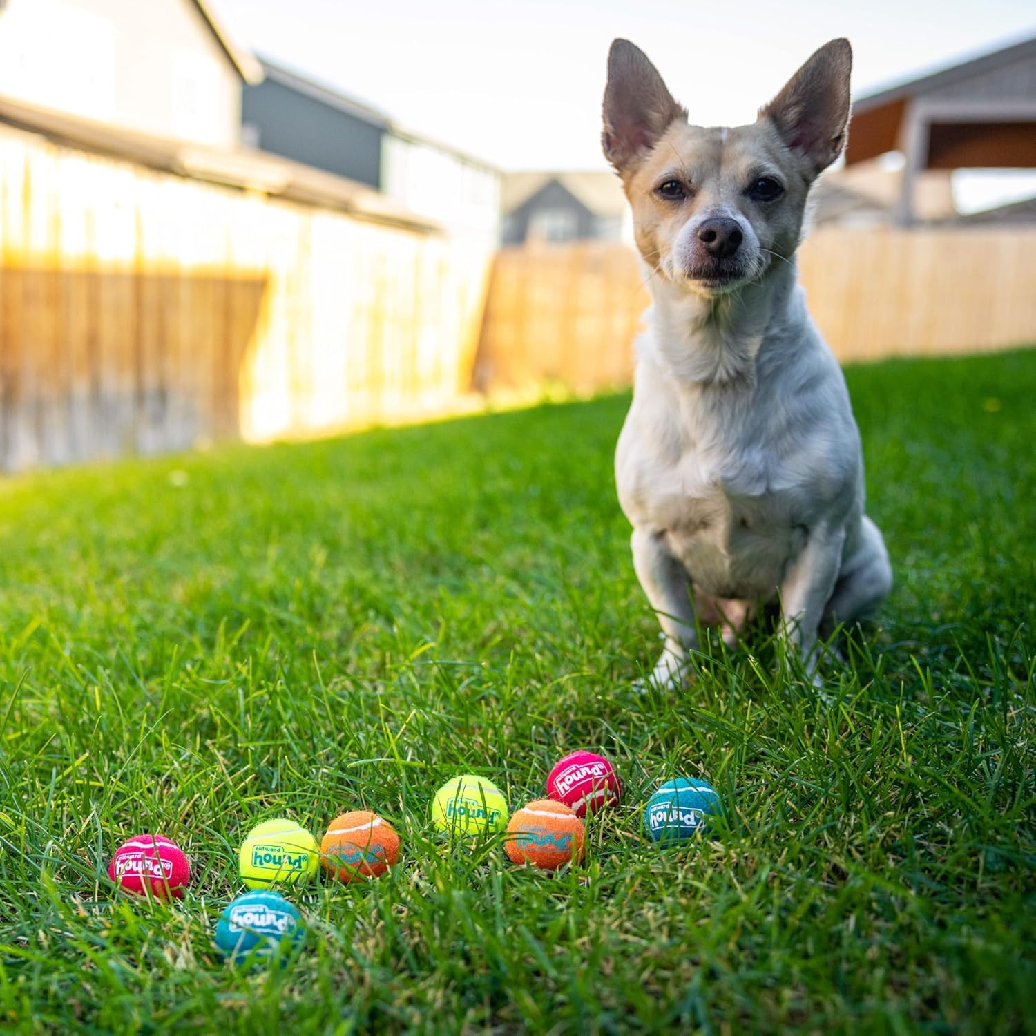 image:imageOutward Hound Squeaker Ballz Squeaky Tiny Tennis Balls for Small Dogs Under 15 lbs Fetch amp Training XSmall 15 4PackMulti Squeaker Balls
