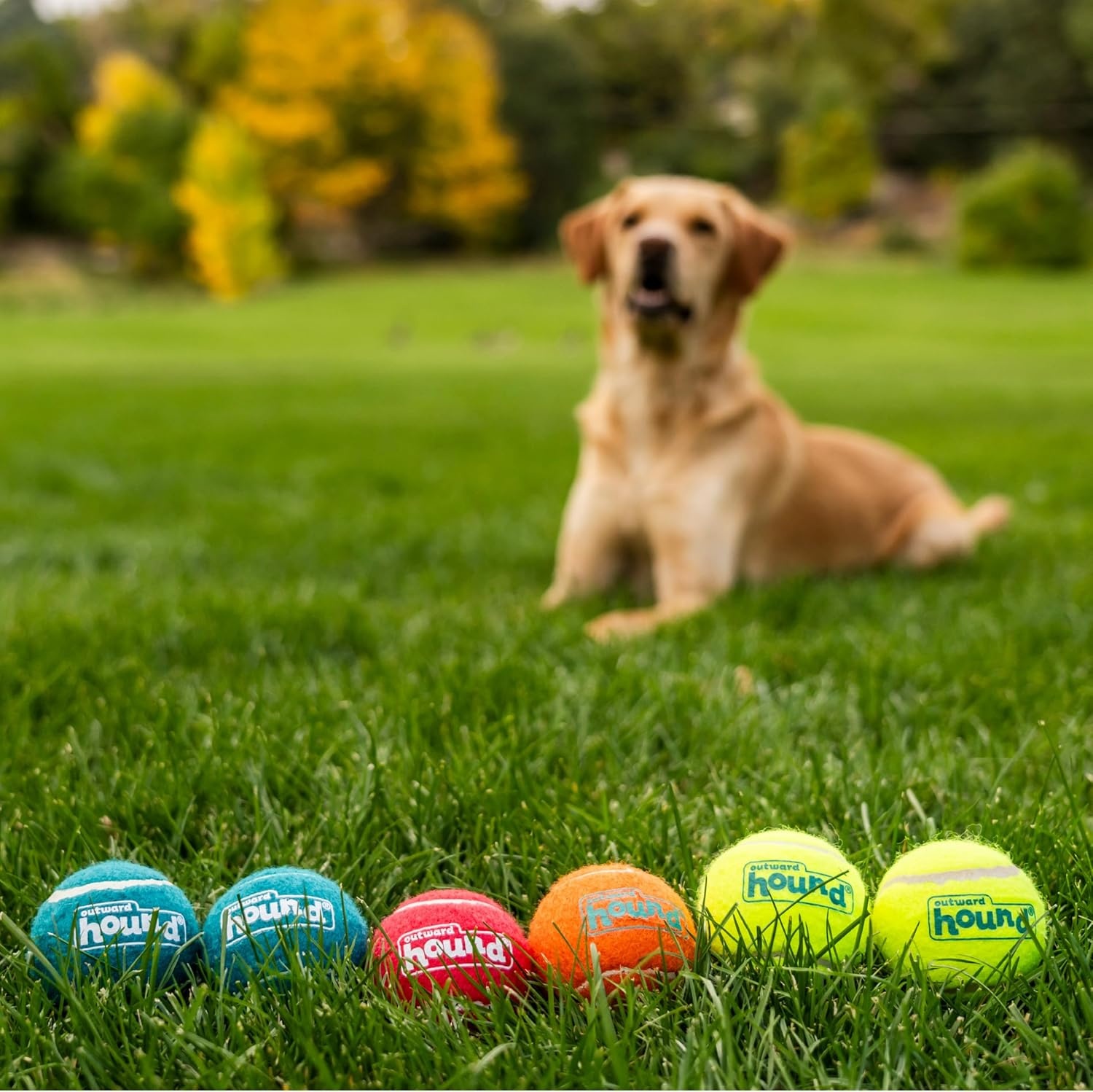 image:imageOutward Hound Squeaker Ballz Squeaky Tiny Tennis Balls for Small Dogs Under 15 lbs Fetch amp Training XSmall 15 4PackMulti Squeaker Balls