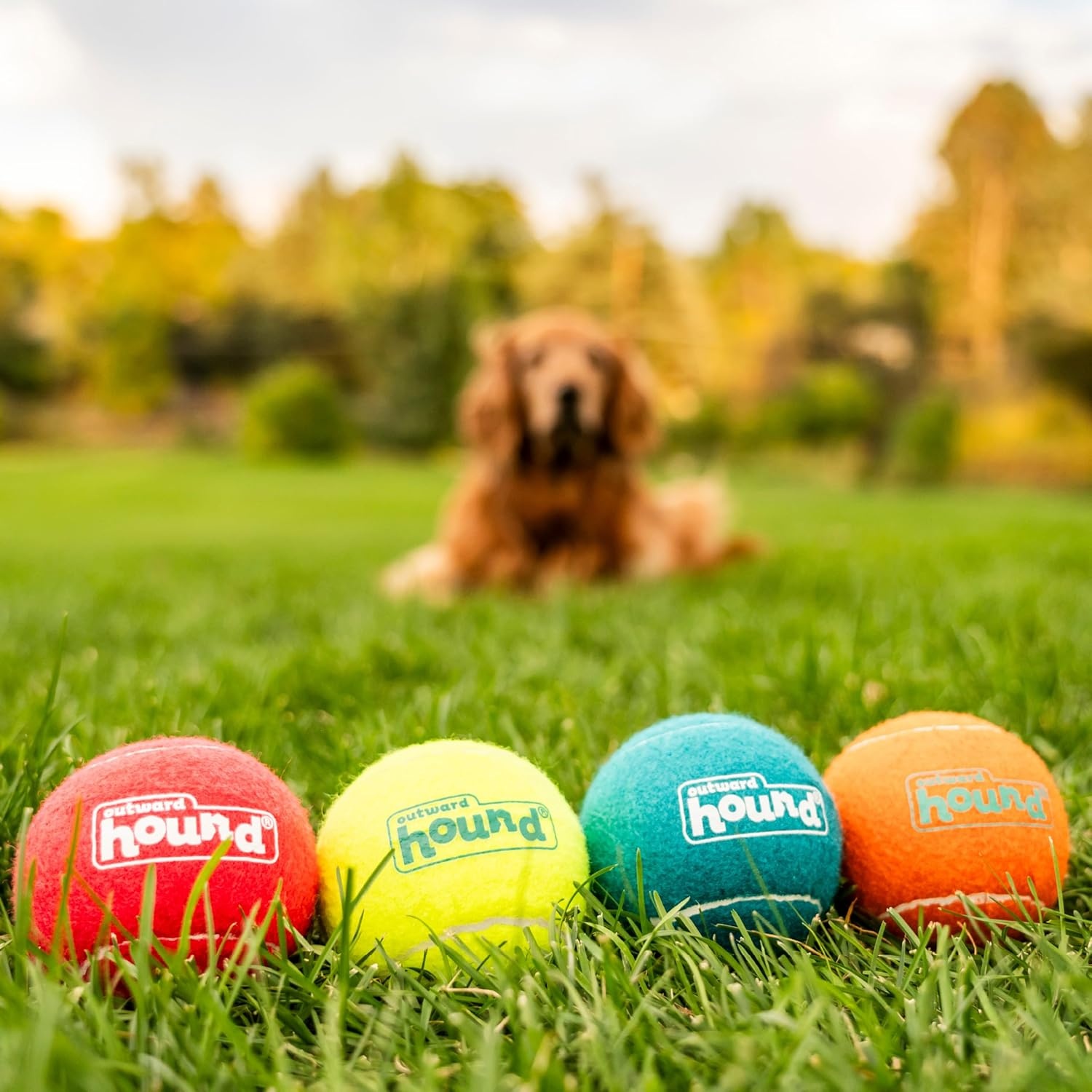 image:imageOutward Hound Squeaker Ballz Squeaky Tiny Tennis Balls for Small Dogs Under 15 lbs Fetch amp Training XSmall 15 4PackMulti Squeaker Balls