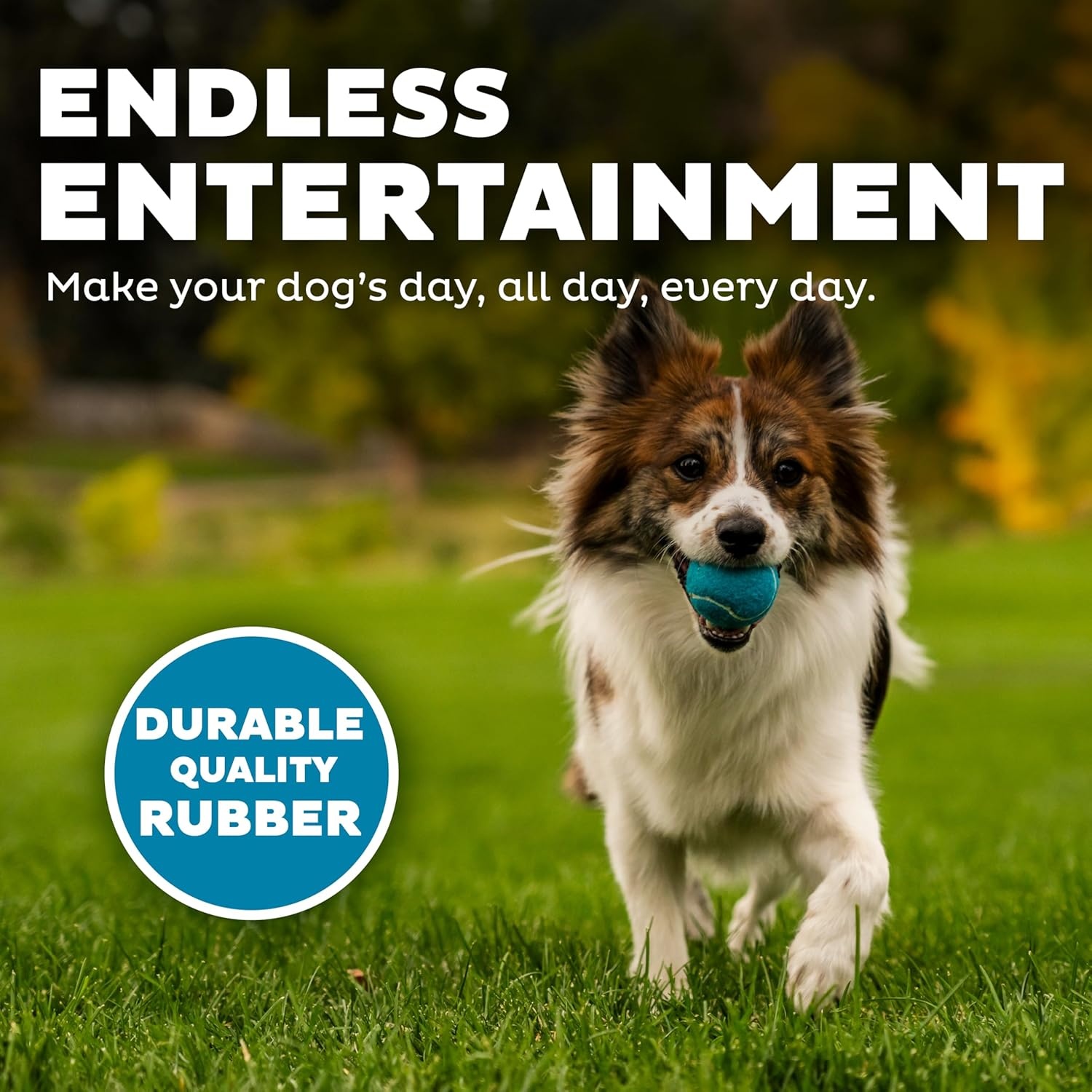 image:imageOutward Hound Squeaker Ballz 2Pack Tennis Ball Dog Toys with Squeaker Interactive Fetch Play for Pets 50 lbs and Over Training Balls for Indoor amp Outdoor Exercise Large 3inchMulti Squeaker Balls