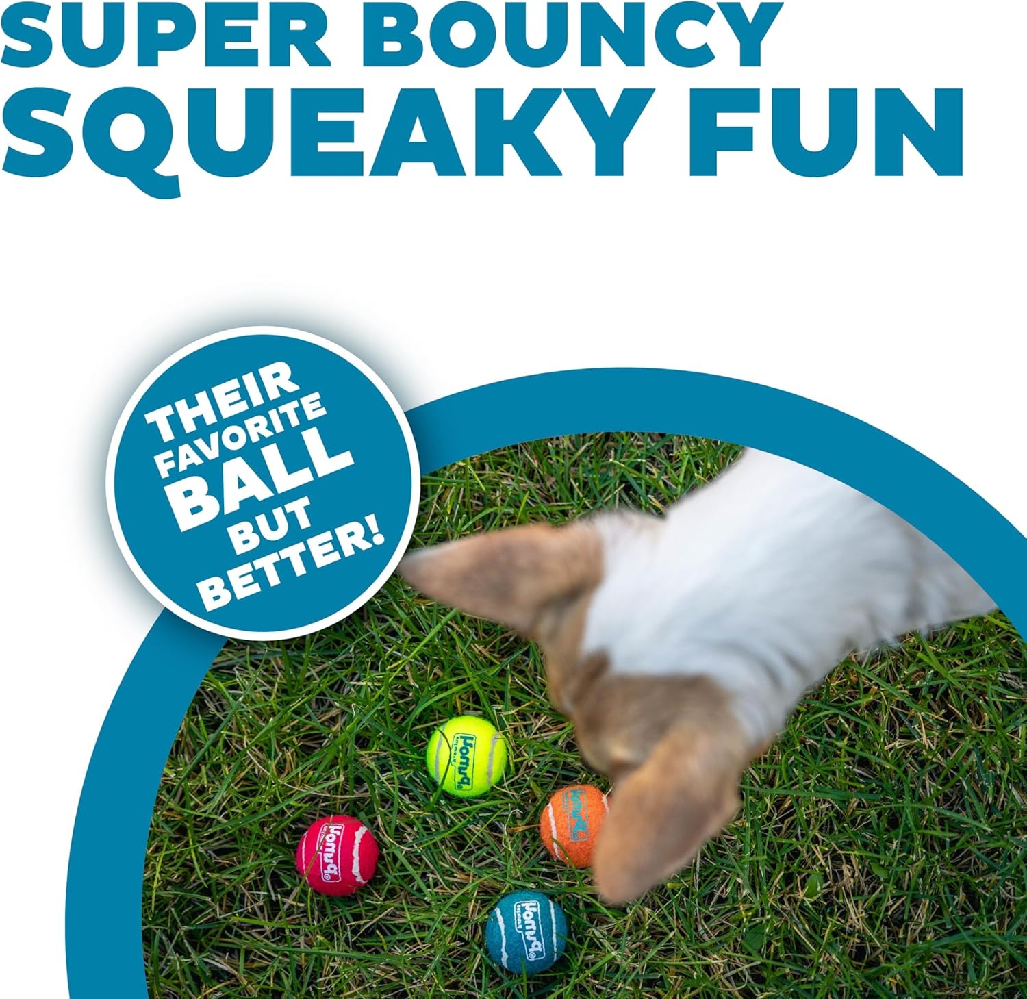 image:imageOutward Hound Squeaker Ballz 2Pack Tennis Ball Dog Toys with Squeaker Interactive Fetch Play for Pets 50 lbs and Over Training Balls for Indoor amp Outdoor Exercise Large 3inchMulti Squeaker Balls