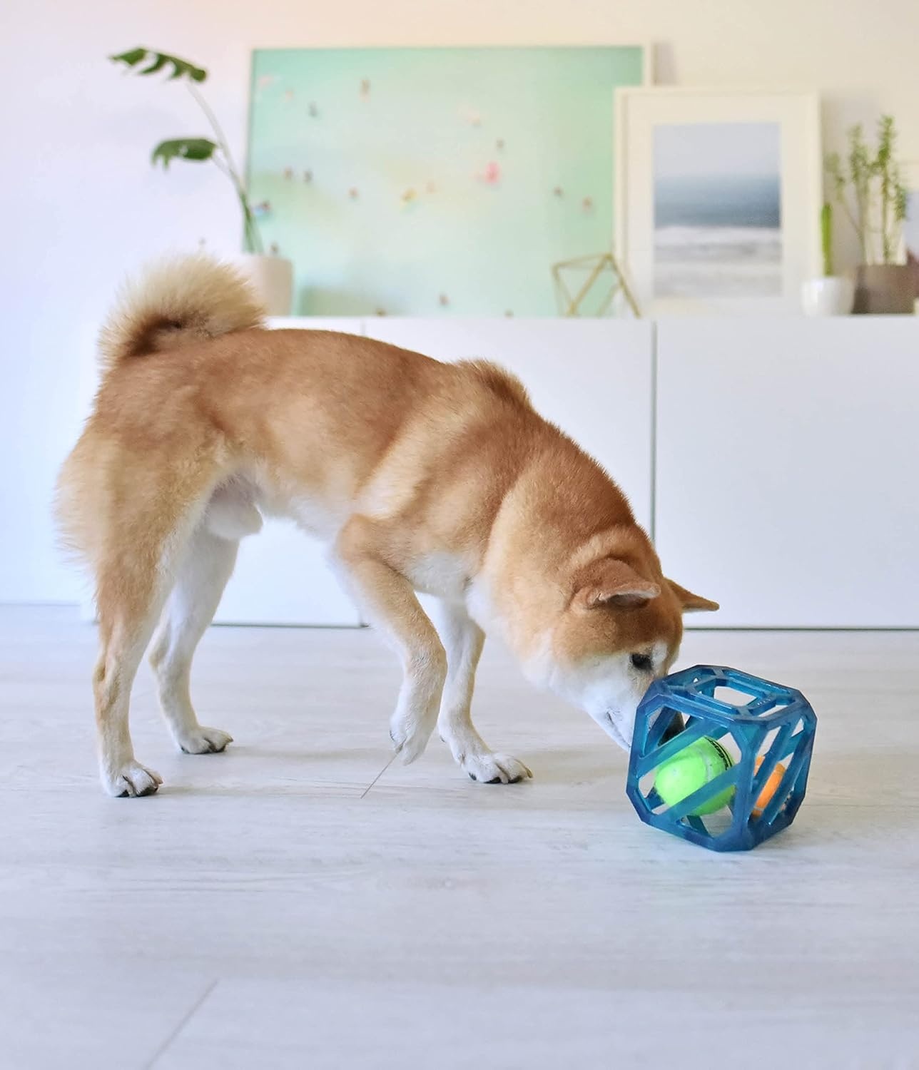 image:imageOutward Hound Triple Jack Interactive MultiSqueak Dog ToyPuzzle Cube
