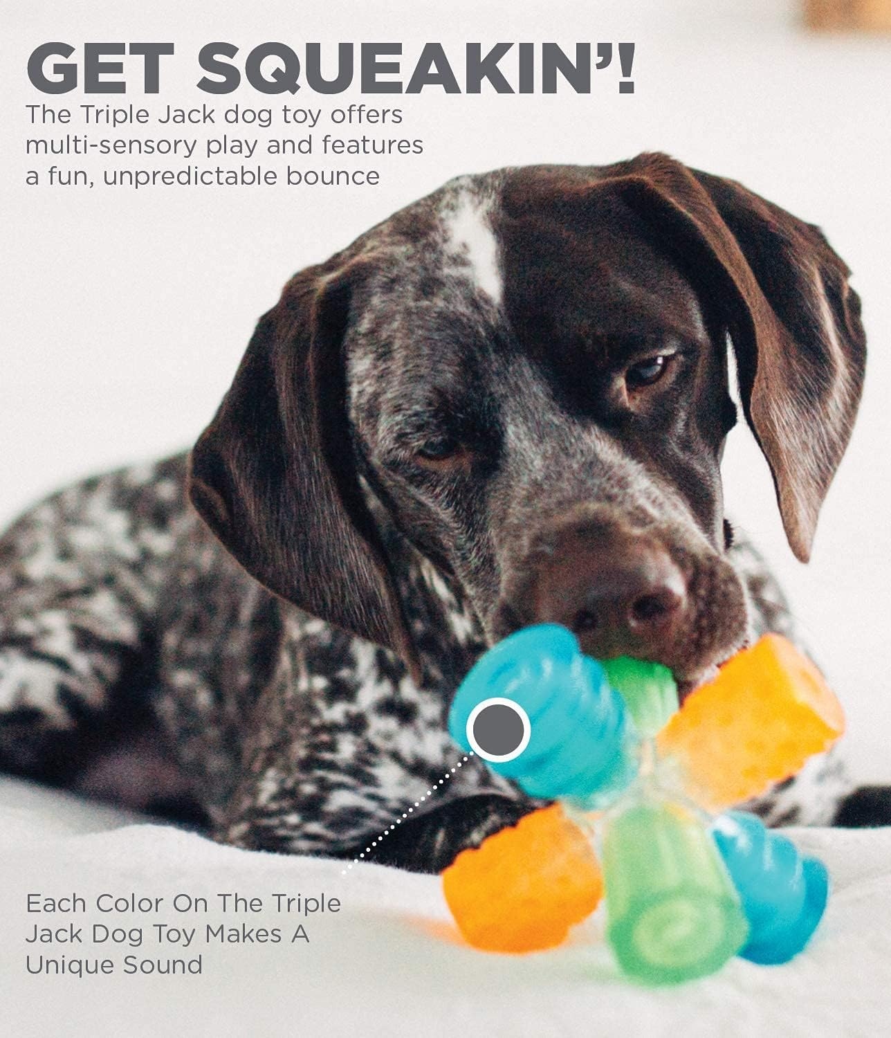 image:imageOutward Hound Triple Jack Interactive MultiSqueak Dog ToyTriple Jack