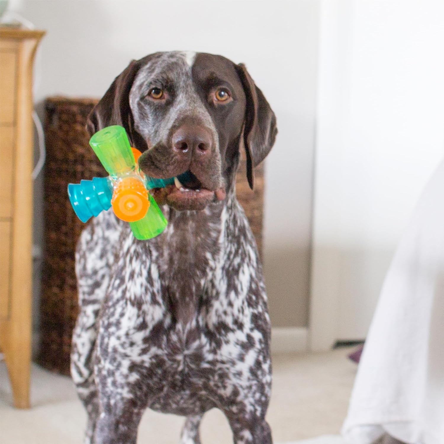 image:imageOutward Hound Triple Jack Interactive MultiSqueak Dog ToyTriple Jack