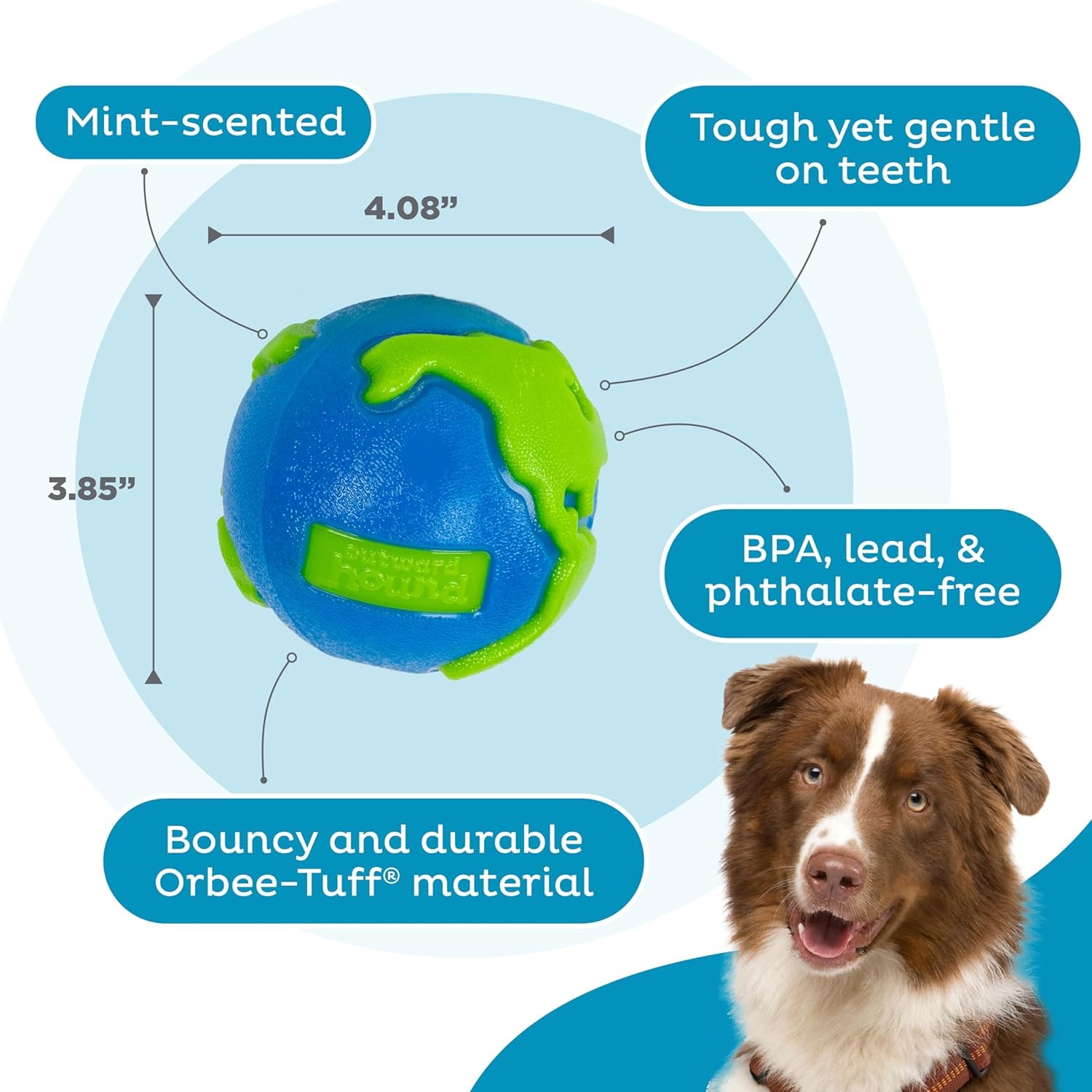 image:imageOutward Hound by Planet Dog OrbeeTuff Planet Ball BlueGreen TreatDispensing Dog Toy MediumPlanet Earth