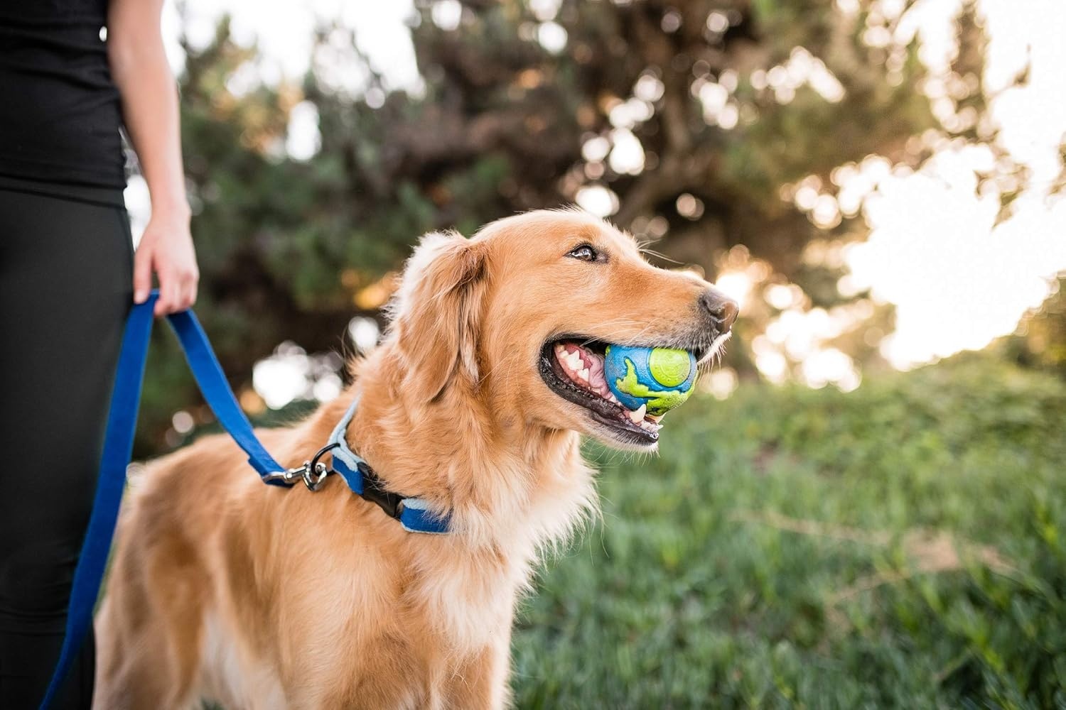 image:imageOutward Hound by Planet Dog OrbeeTuff Planet Ball BlueGreen TreatDispensing Dog Toy MediumPlanet Earth