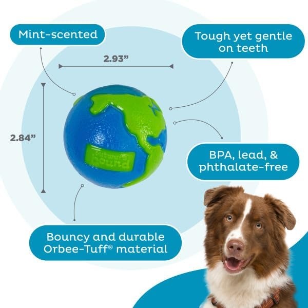 image:imageOutward Hound by Planet Dog OrbeeTuff Planet Ball BlueGreen TreatDispensing Dog Toy MediumPlanet Earth