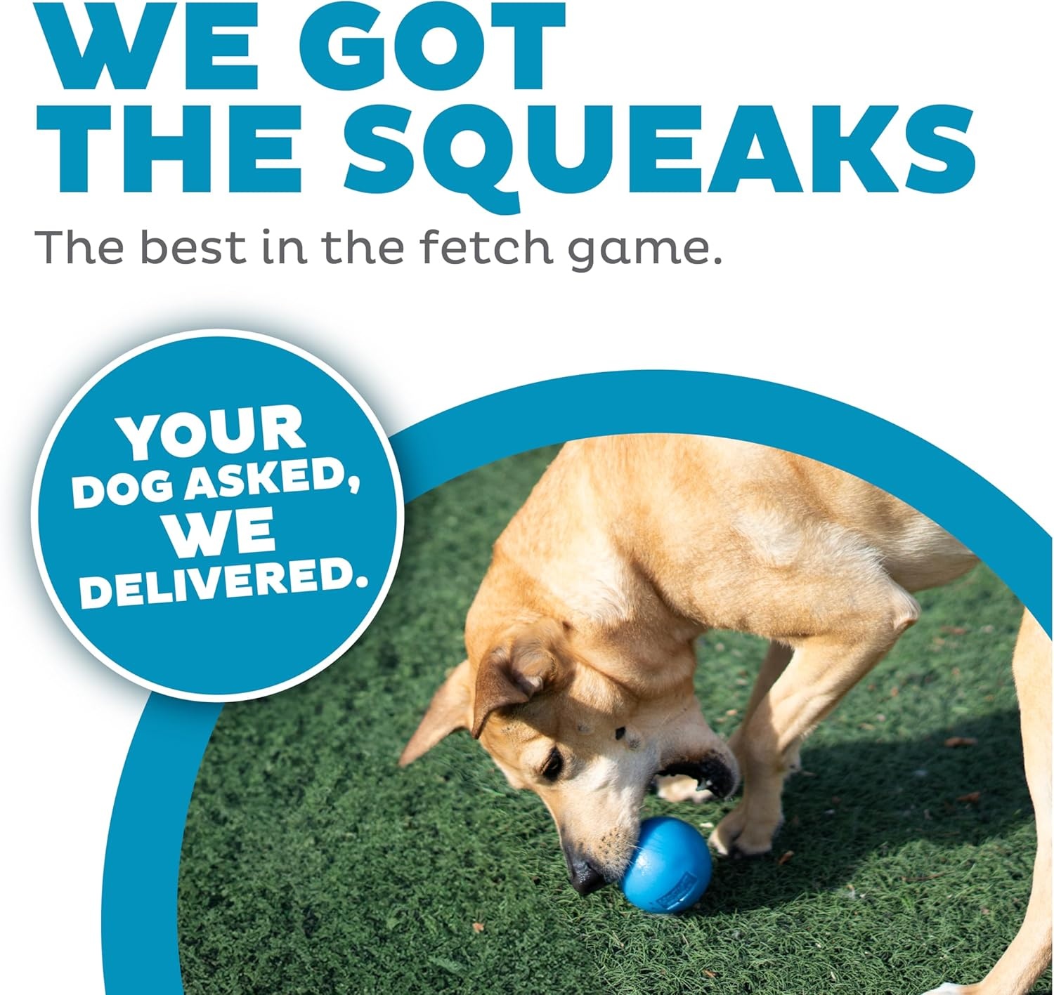 image:imageOutward Hound by Planet Dog Squeak Ball Bouncy Fetch Dog Toy PinkBlue Squeak Toy