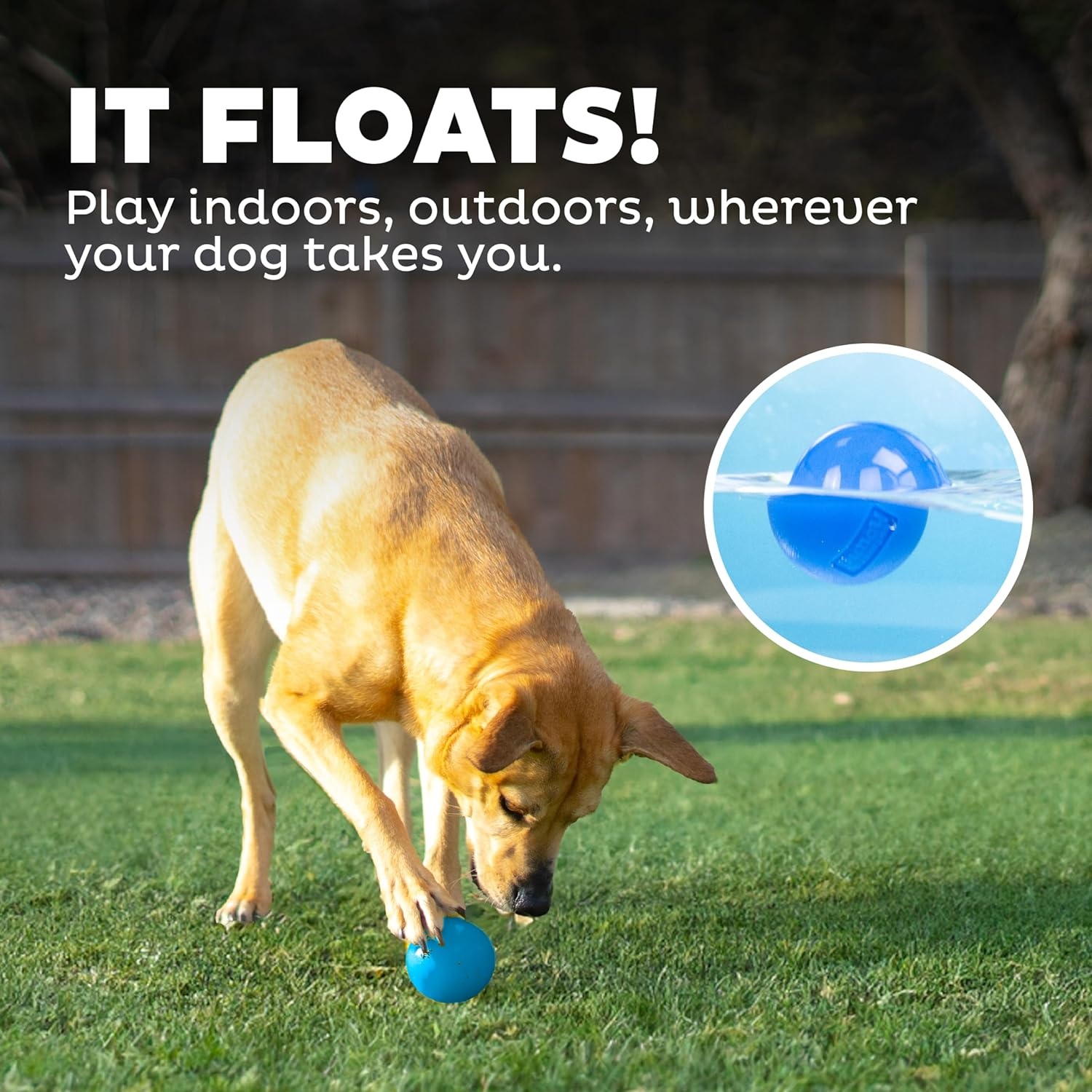 image:imageOutward Hound by Planet Dog Squeak Ball Bouncy Fetch Dog Toy PinkBlue Squeak Toy