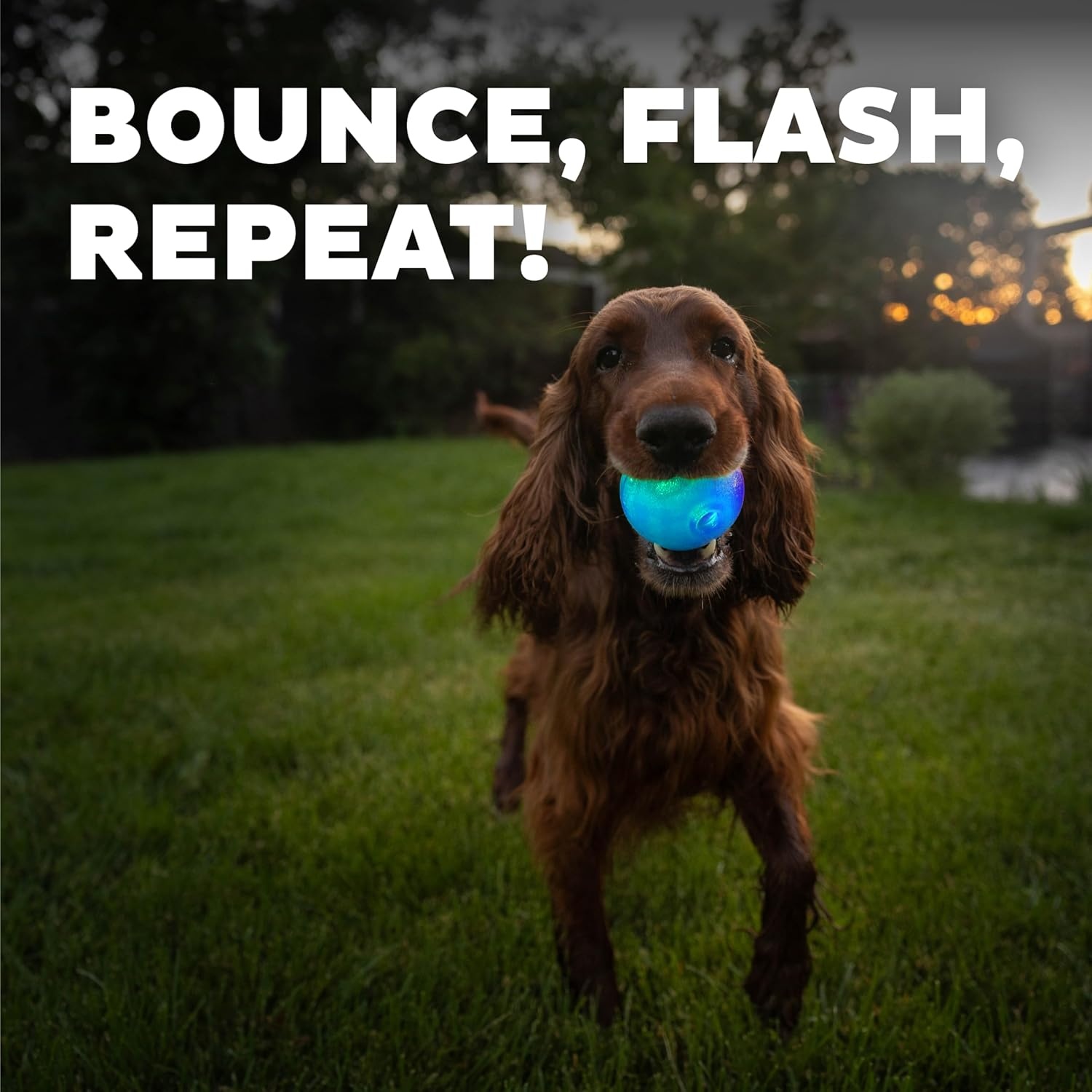 image:imageOutward Hound by Planet Dog Squeak Ball Bouncy Fetch Dog Toy PinkBlue Strobe Toy