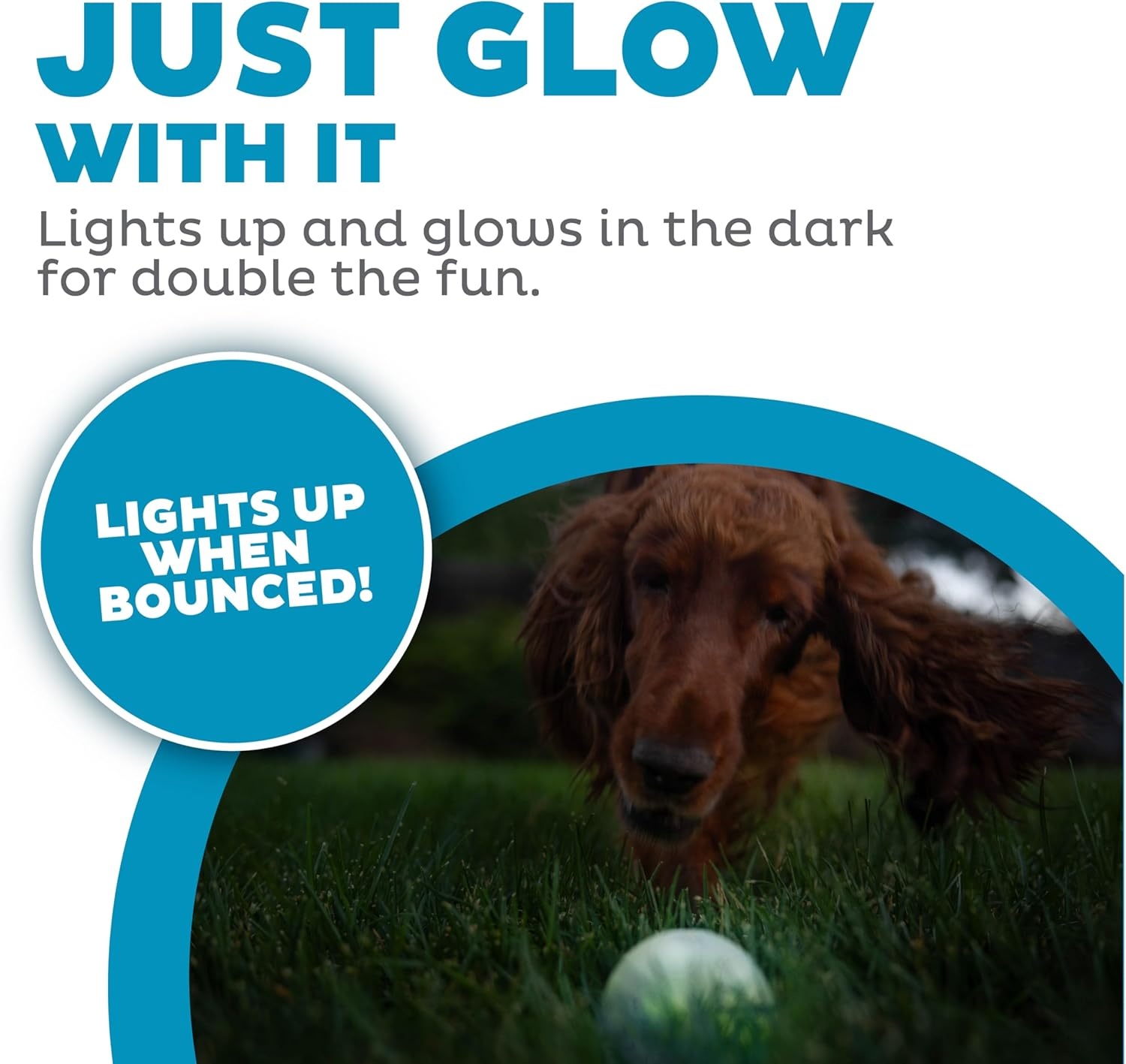 image:imageOutward Hound by Planet Dog Squeak Ball Bouncy Fetch Dog Toy PinkGlow in the Dark Strobe Toy