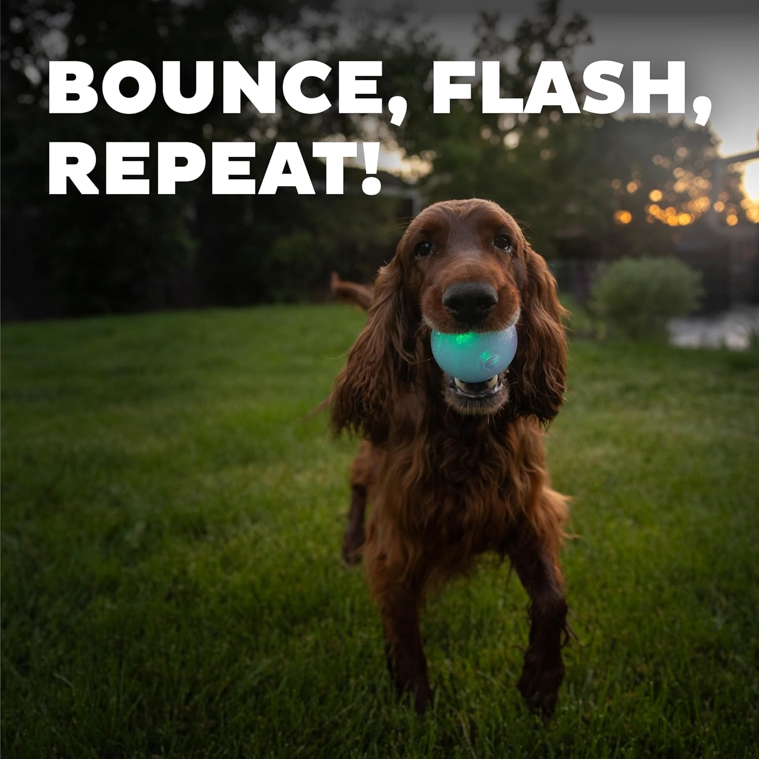 image:imageOutward Hound by Planet Dog Squeak Ball Bouncy Fetch Dog Toy PinkGlow in the Dark Strobe Toy