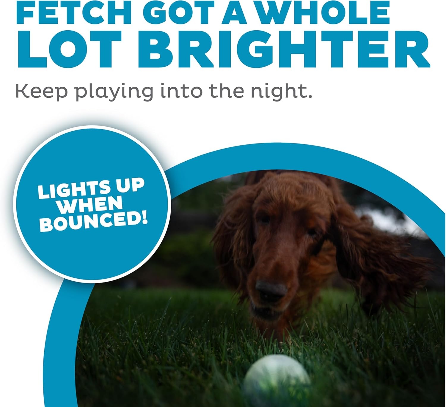 image:imageOutward Hound by Planet Dog Squeak Ball Bouncy Fetch Dog Toy PinkGreen Strobe Toy