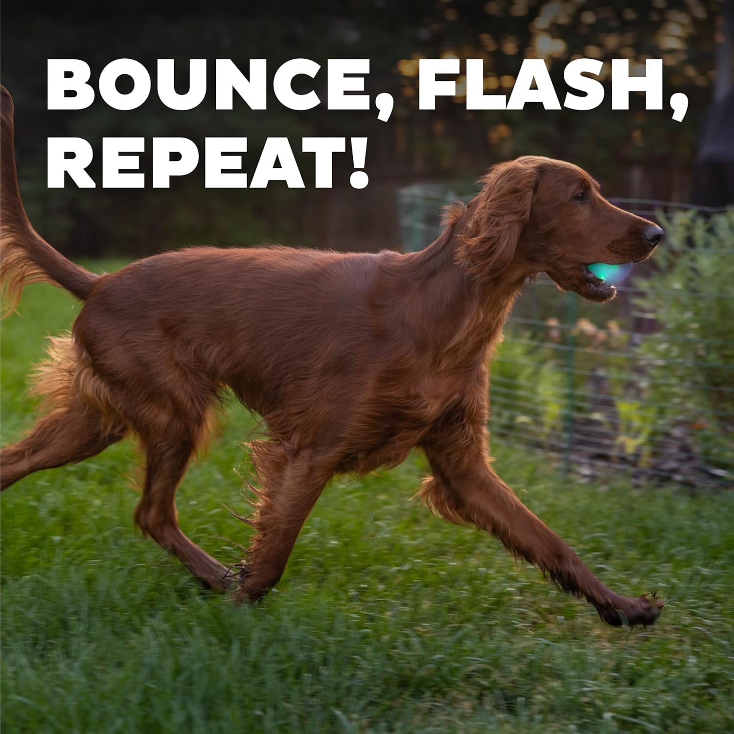 image:imageOutward Hound by Planet Dog Squeak Ball Bouncy Fetch Dog Toy PinkGreen Strobe Toy