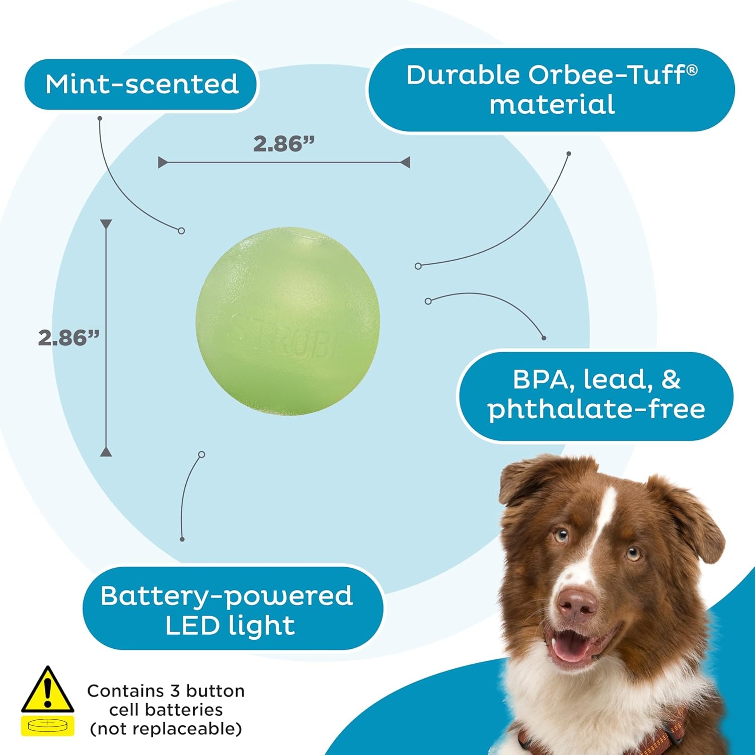 image:imageOutward Hound by Planet Dog Squeak Ball Bouncy Fetch Dog Toy PinkGreen Strobe Toy