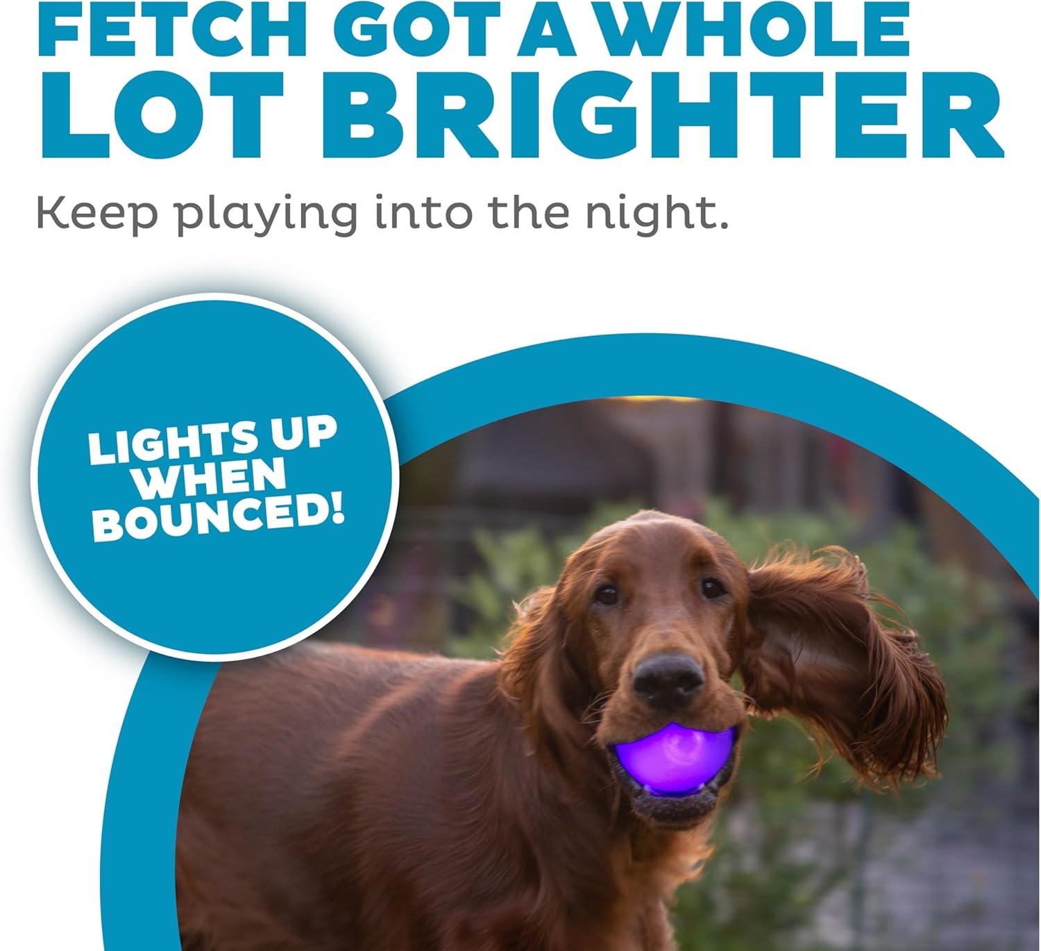 image:imageOutward Hound by Planet Dog Squeak Ball Bouncy Fetch Dog Toy PinkPurple Strobe Toy