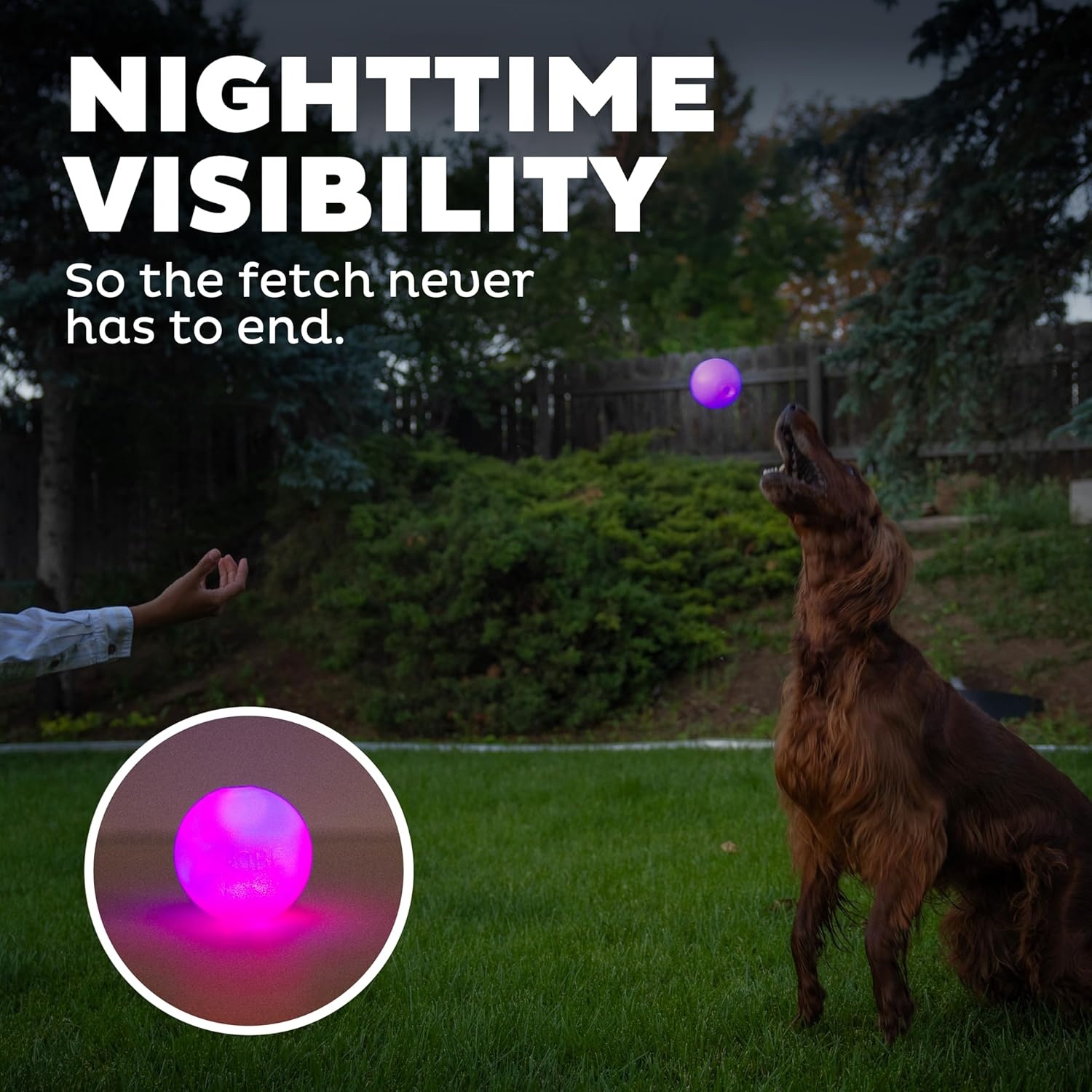 image:imageOutward Hound by Planet Dog Squeak Ball Bouncy Fetch Dog Toy PinkPurple Strobe Toy