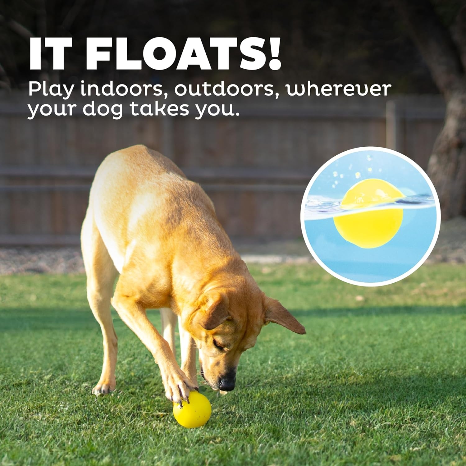 image:imageOutward Hound by Planet Dog Squeak Ball Bouncy Fetch Dog Toy PinkYellow Squeak Toy