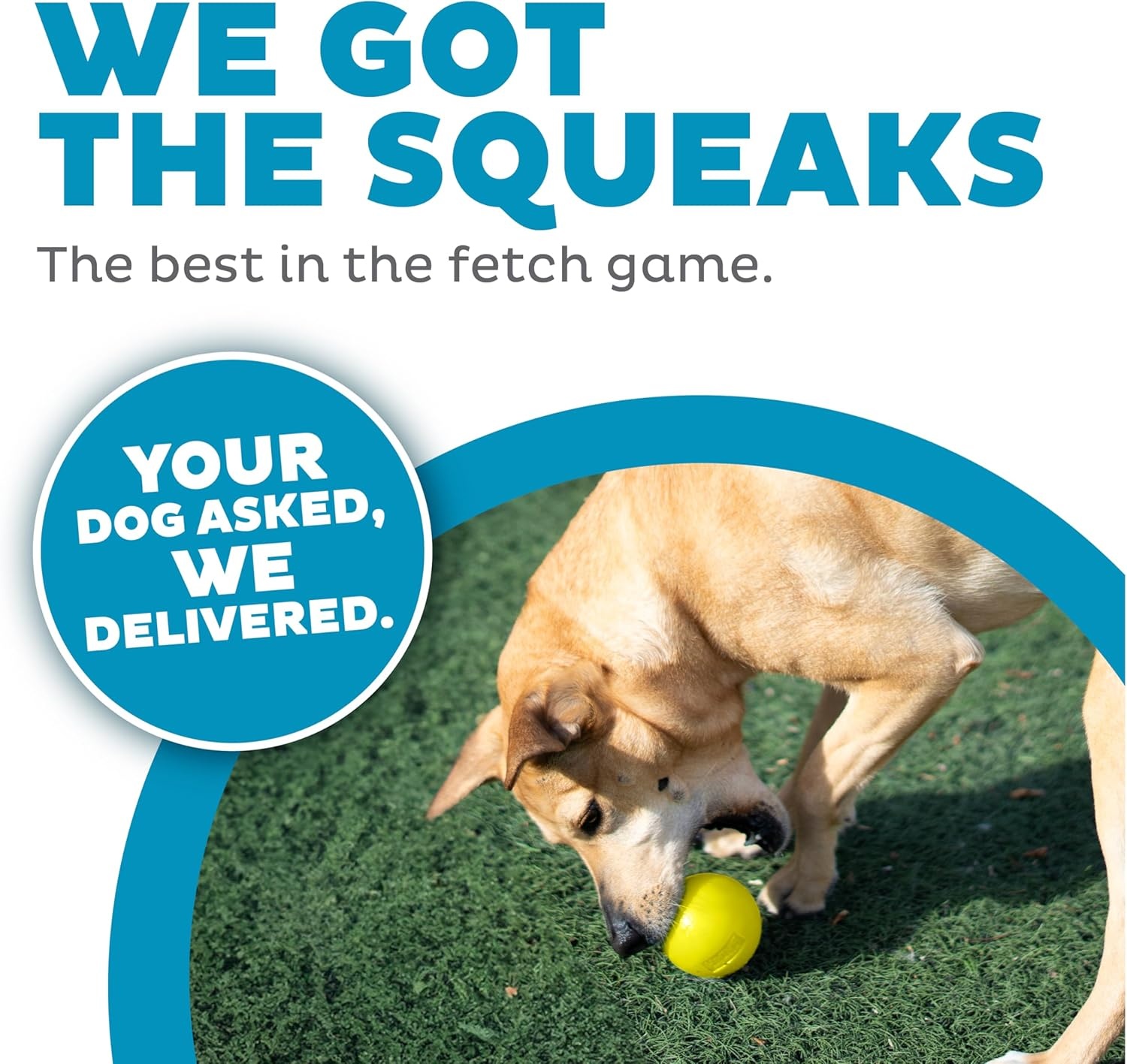 image:imageOutward Hound by Planet Dog Squeak Ball Bouncy Fetch Dog Toy PinkYellow Squeak Toy
