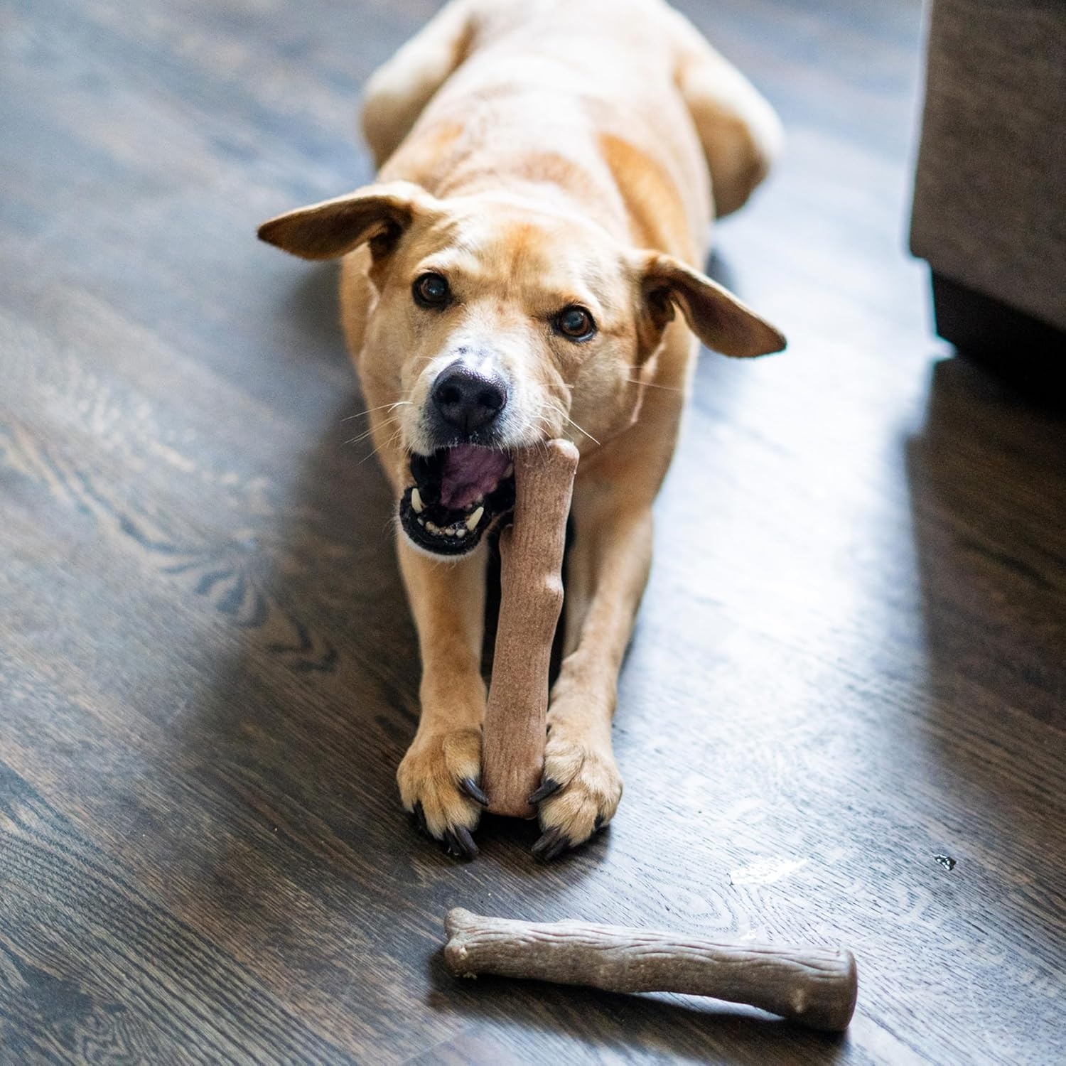image:imagePupstages Dogwood Mesquite Dog Chew Toy RealWood Blend Moderate Chewers Medium 75 2Pack Natural amp Mesquite FlavorsDogwood Calming