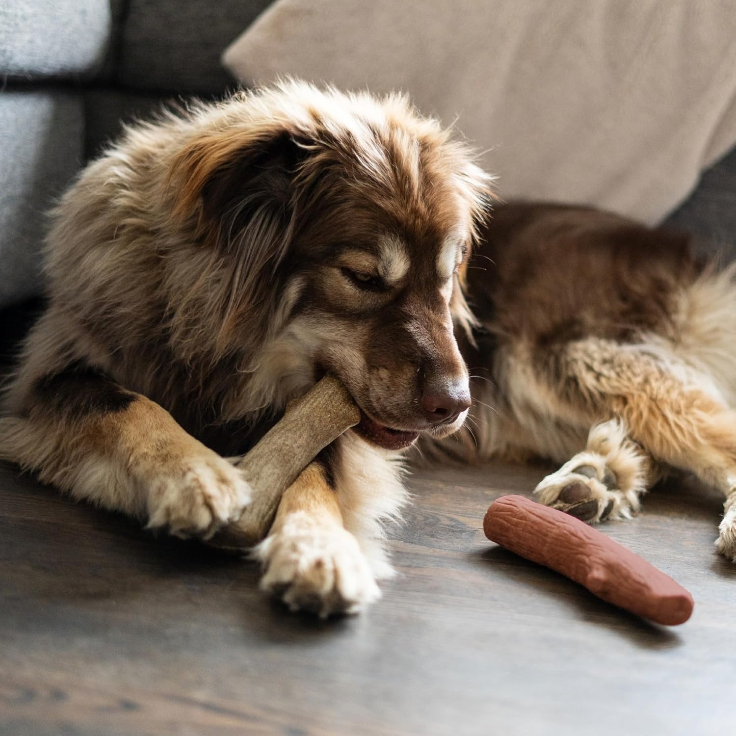image:imagePupstages Dogwood Mesquite Dog Chew Toy RealWood Blend Moderate Chewers Medium 75 2Pack Natural amp Mesquite FlavorsDogwood Mesquite