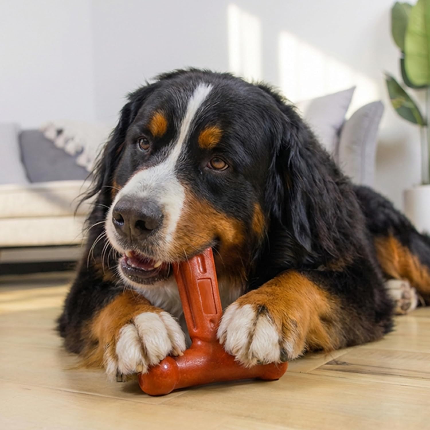 image:imagePupstages Dogwood Mesquite Dog Chew Toy RealWood Blend Moderate Chewers Medium 75 2Pack Natural amp Mesquite FlavorsDogwood Hold Chew
